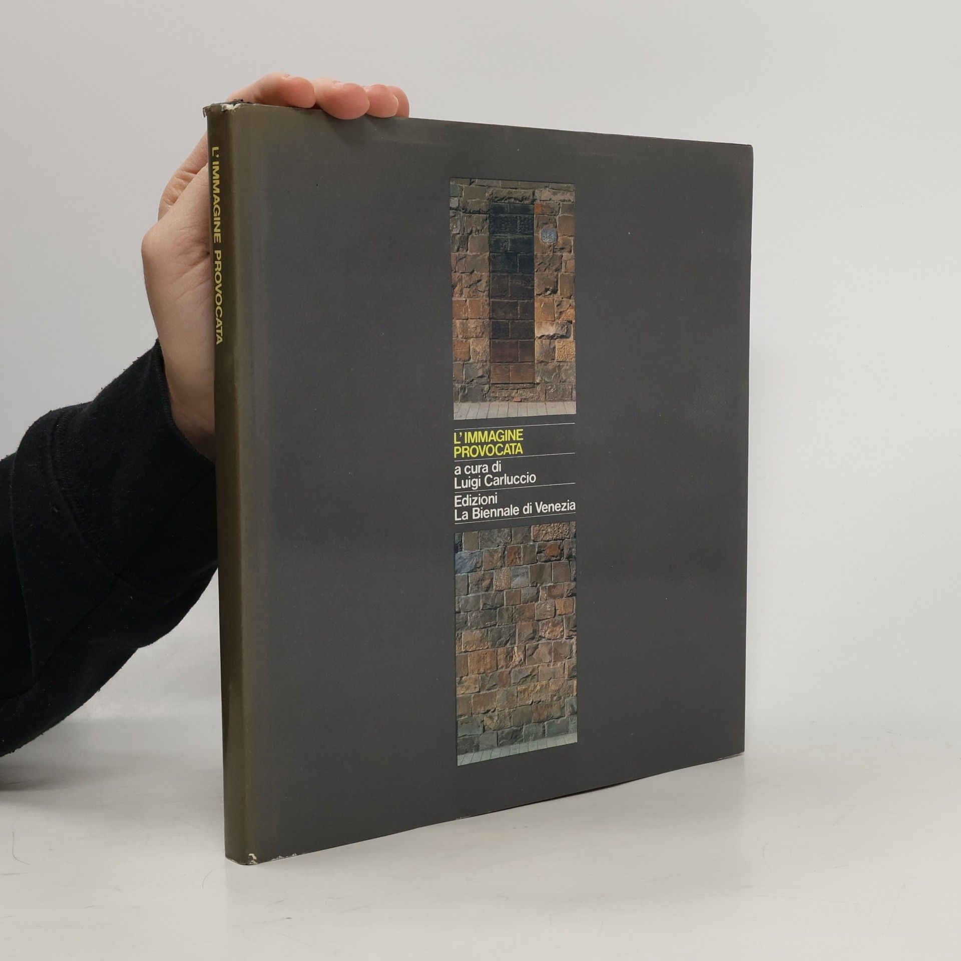 Auteurscollectief L'Immagine provocata