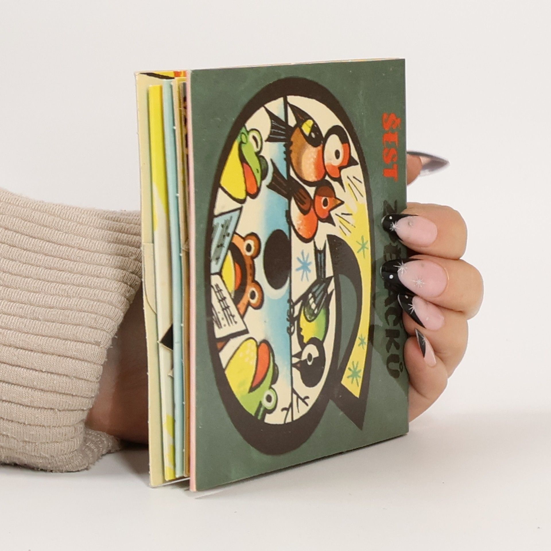 Helena Škodová Šest zpěváčků