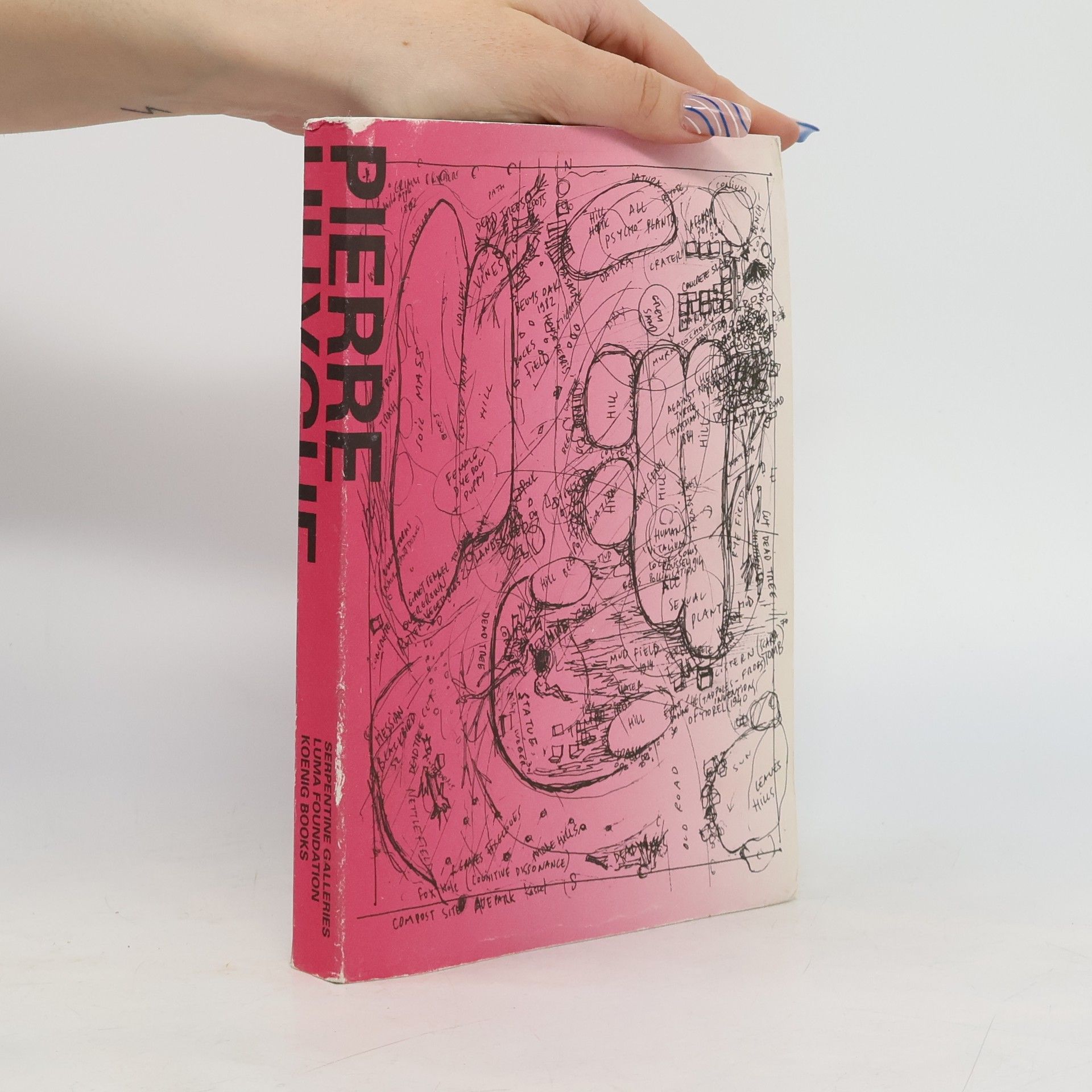 Hans Ulrich Obrist Pierre Huyghe at the Serpentine