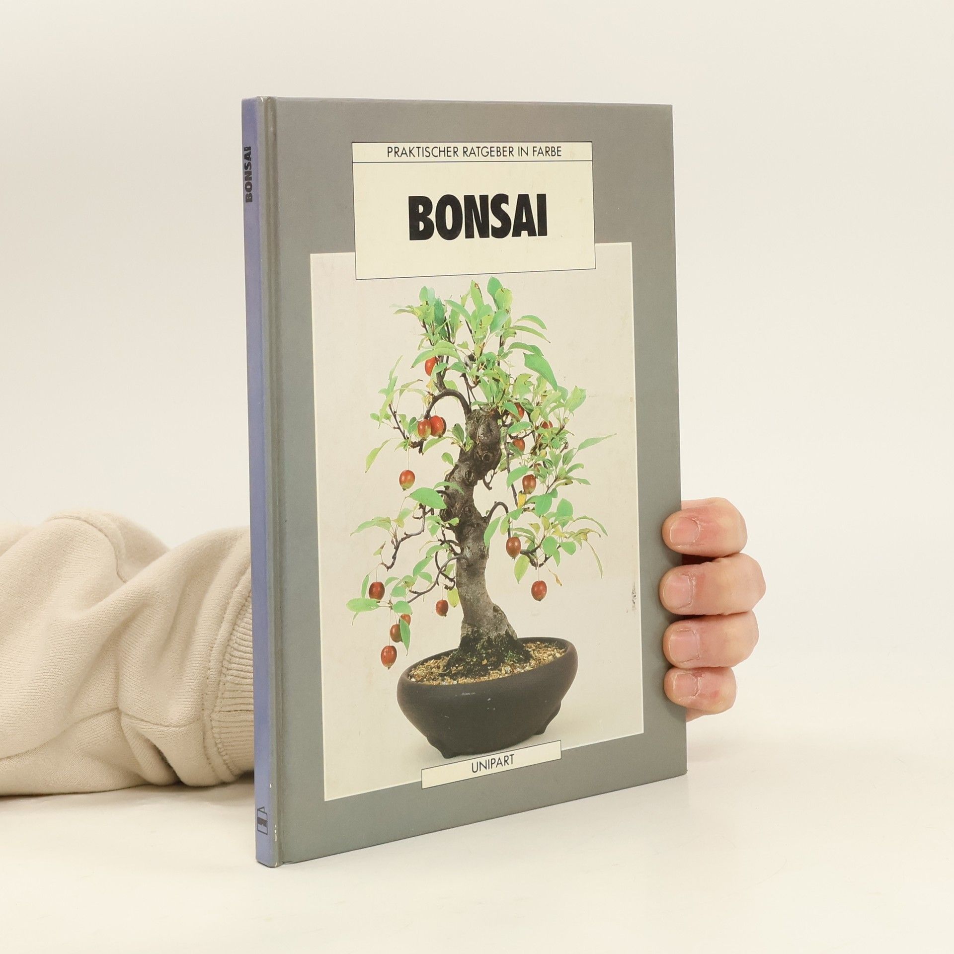 Anne Swinton Bonsai