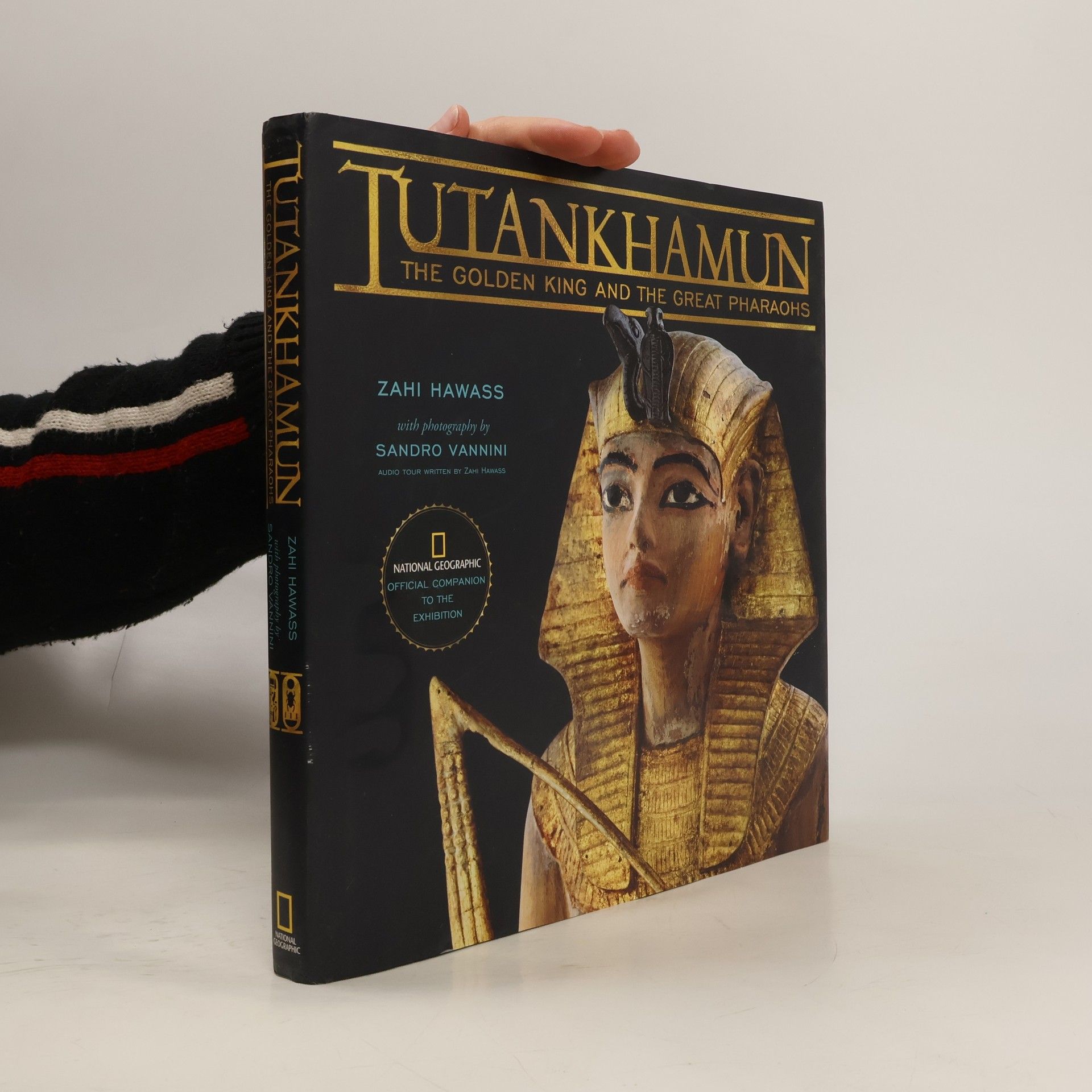Sandro Vannini Tutankhamun. The Golden King and the Great Pharaohs
