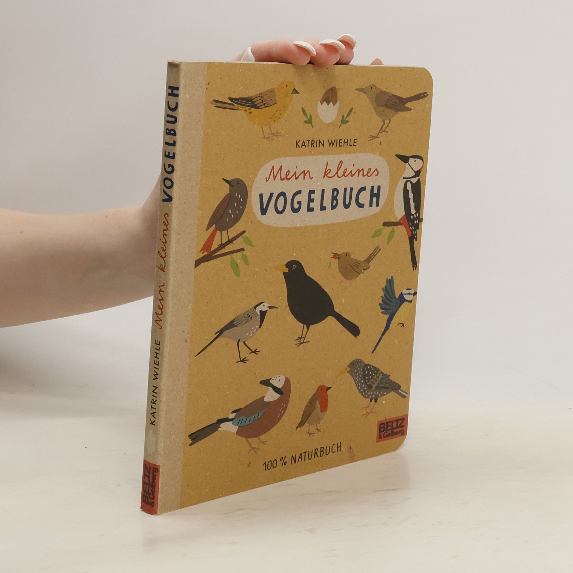 Katrin Wiehle Mein kleines Vogelbuch
