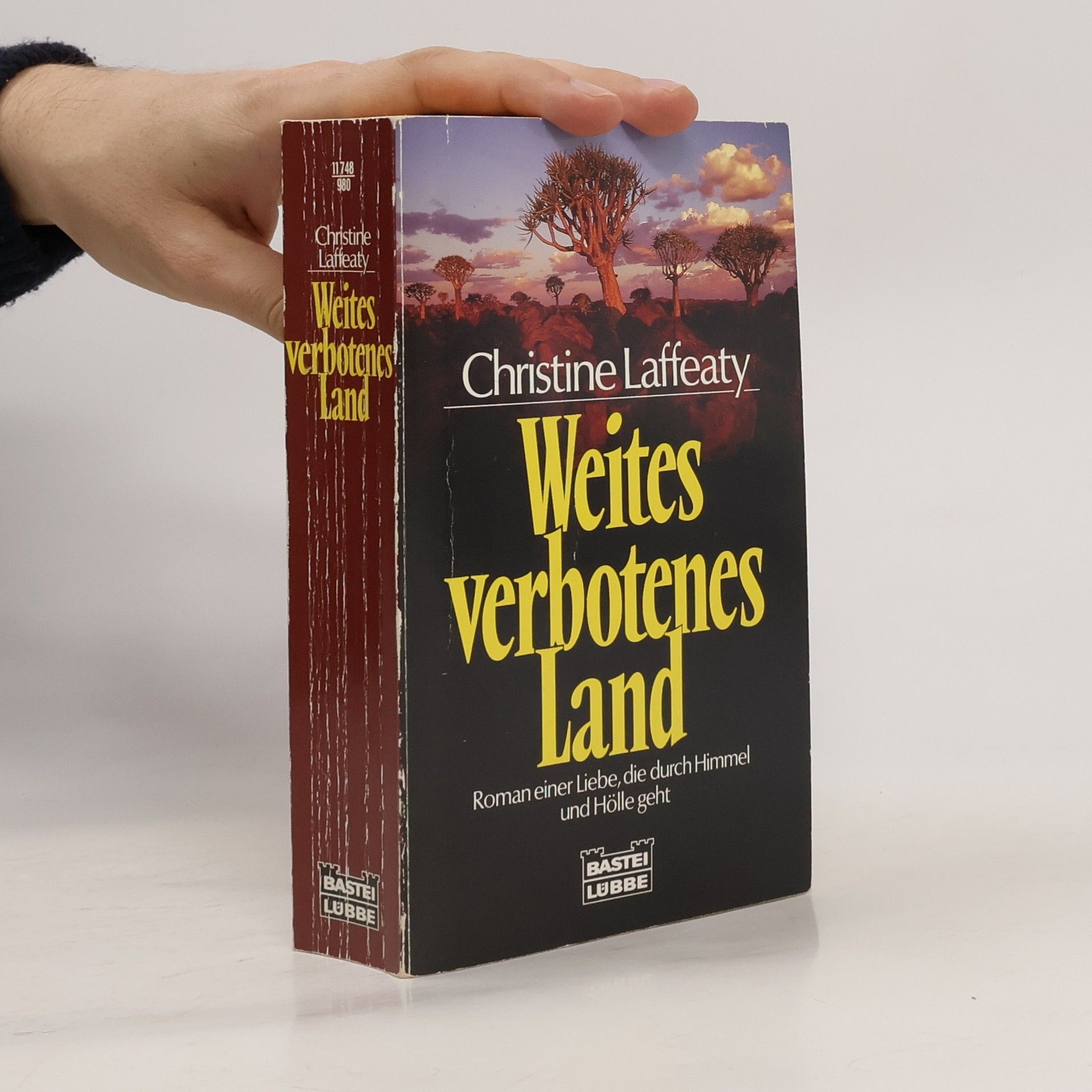 Christine Laffeaty Weites verbotenes Land