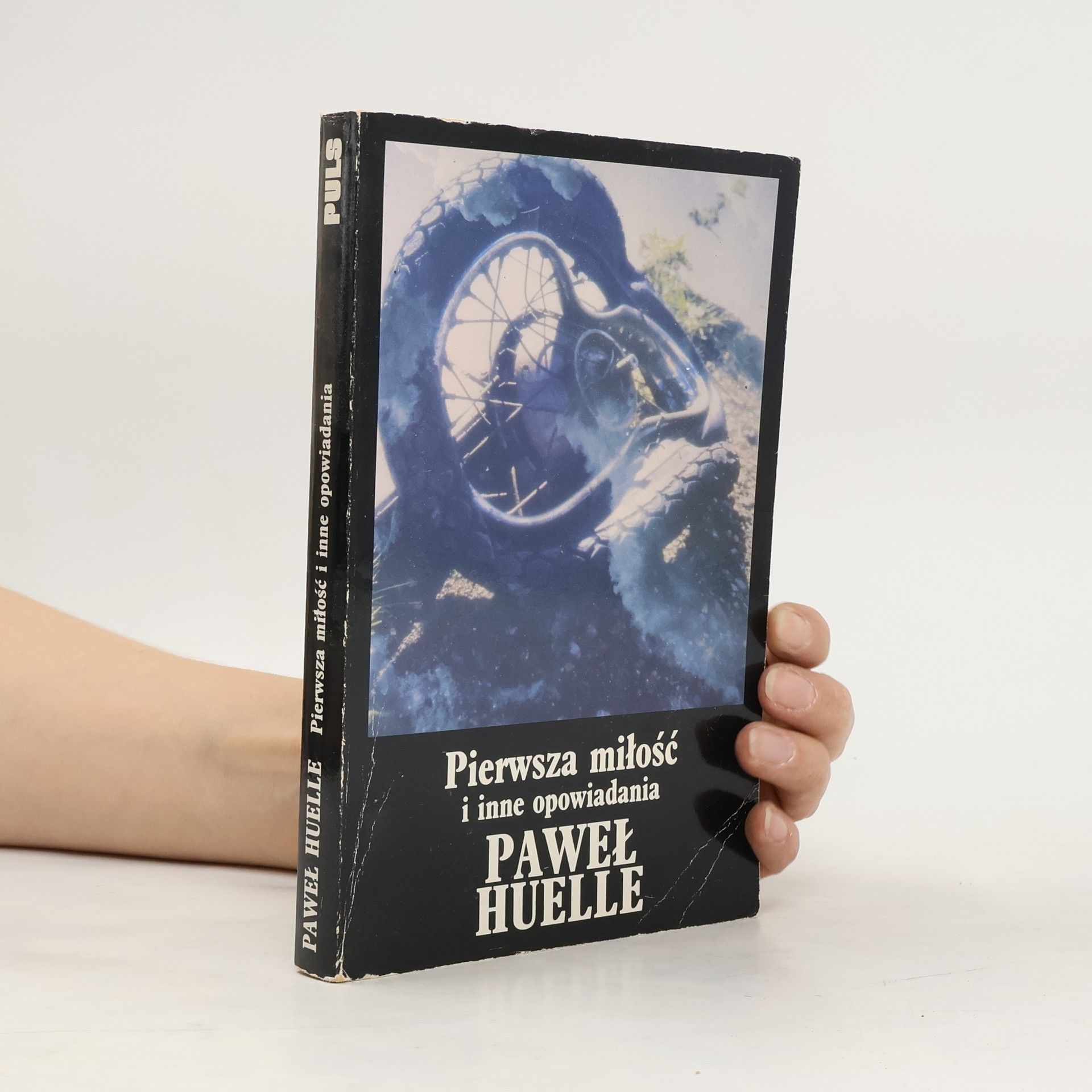 Pierwsza miłość i inne opowiadania