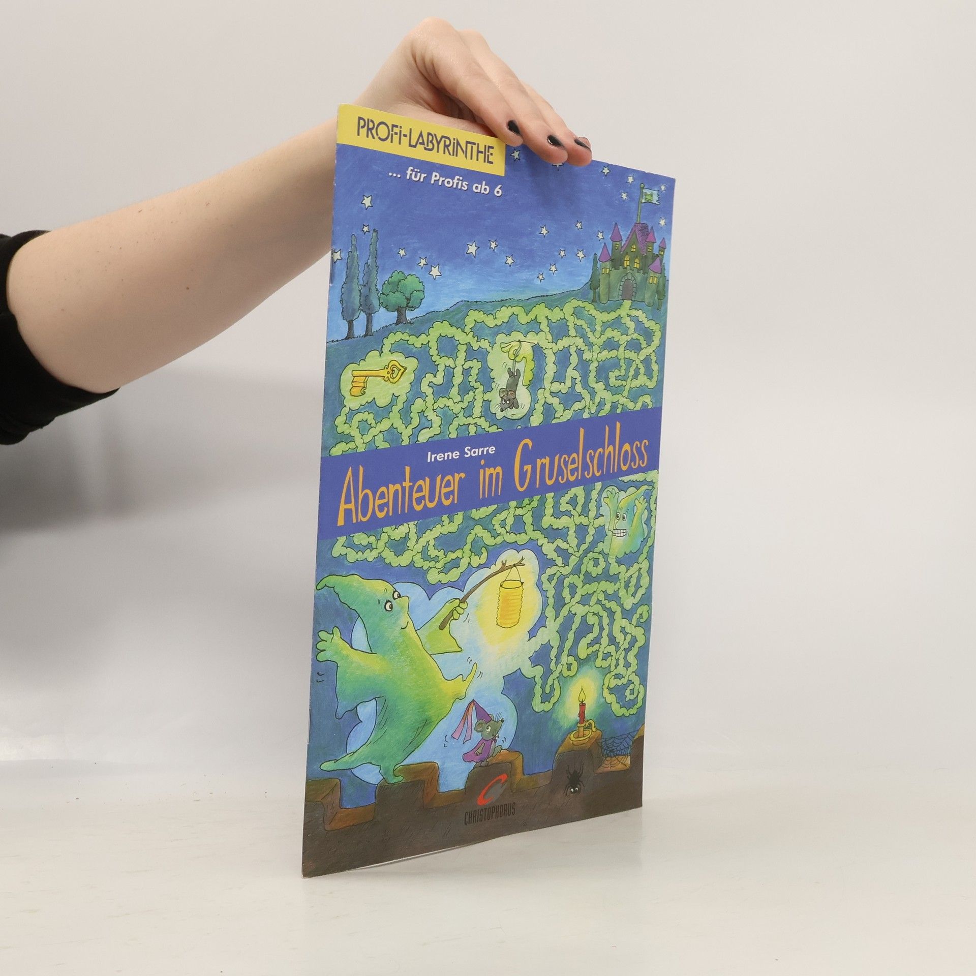 Profi-Labyrinthe. Abenteuer im Gruselschloss.