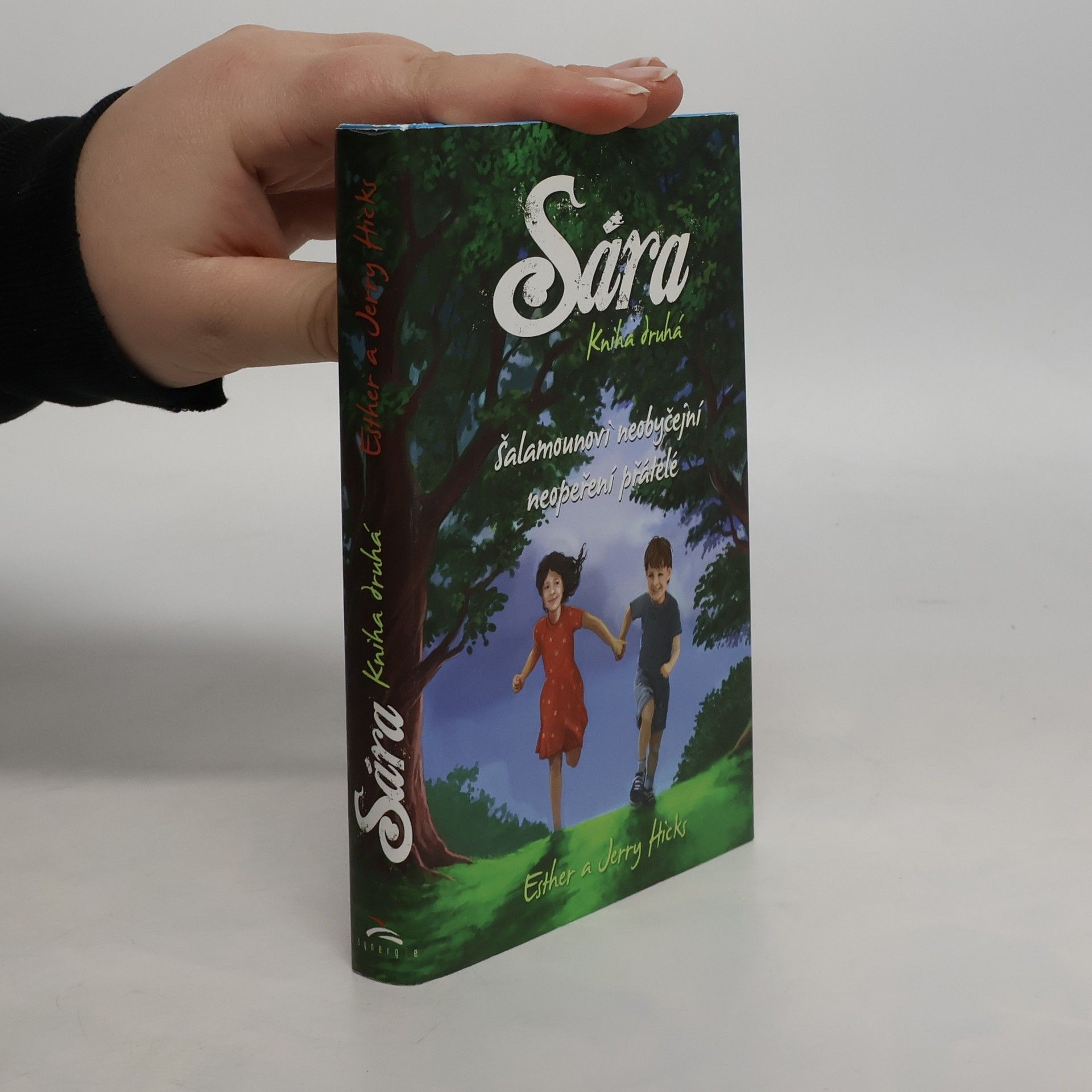 Esther Hicks Sára. Kniha druhá, Šalamounovi neobyčejní neopeření přátelé