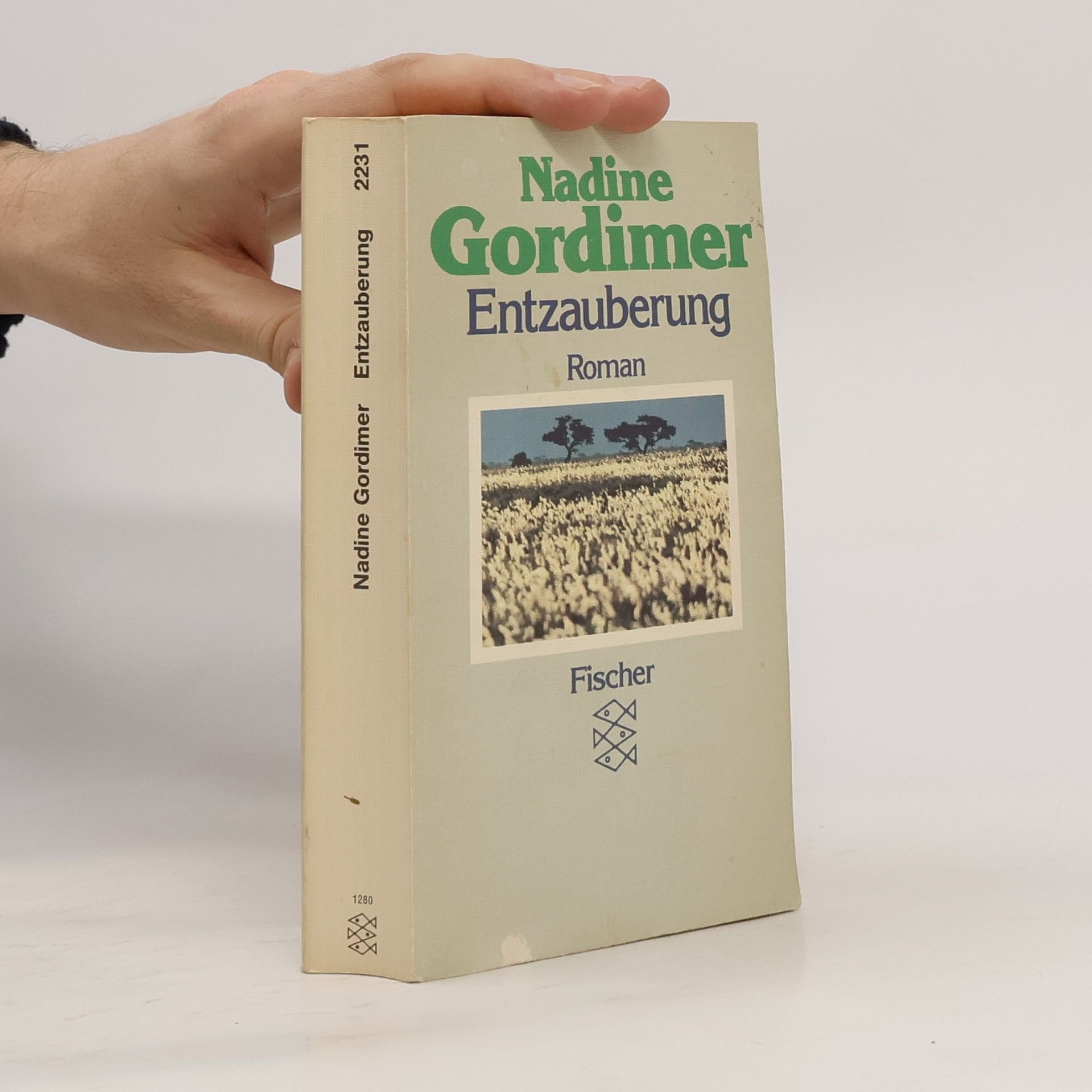 Nadine Gordimer Entzauberung