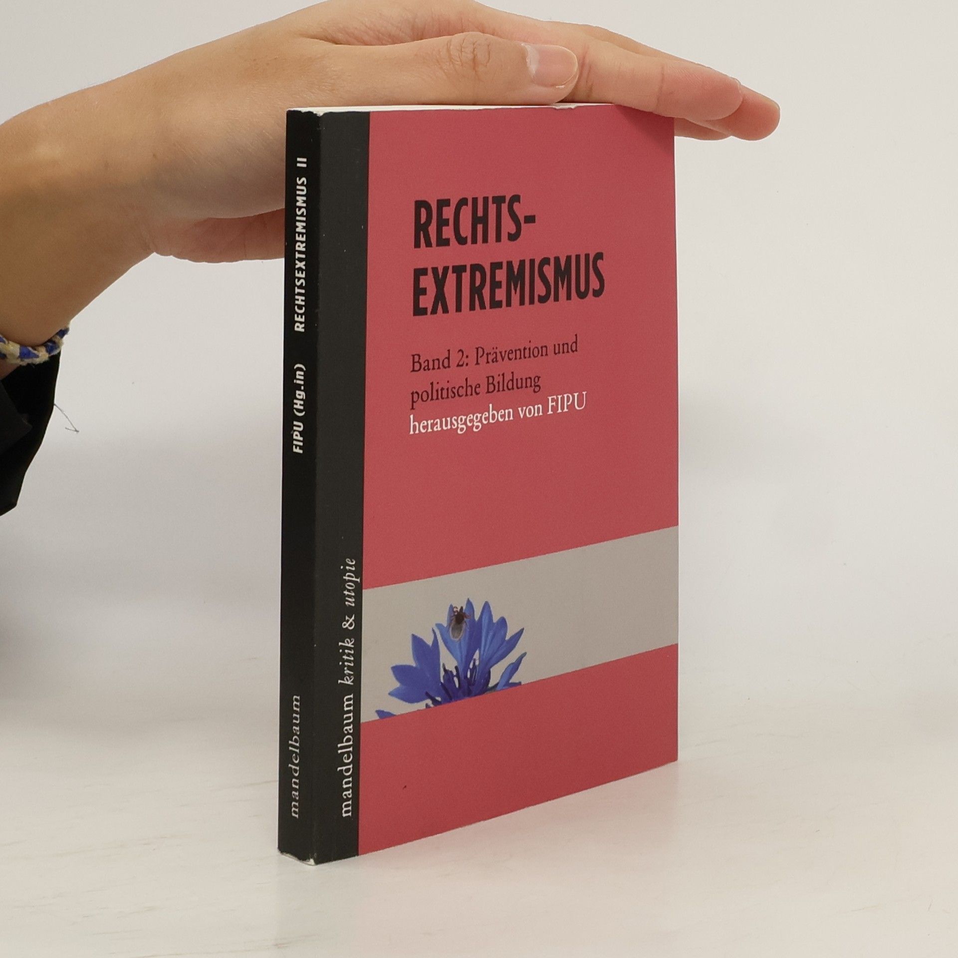Kolektiv autorů Rechtsextremismus. Band 2