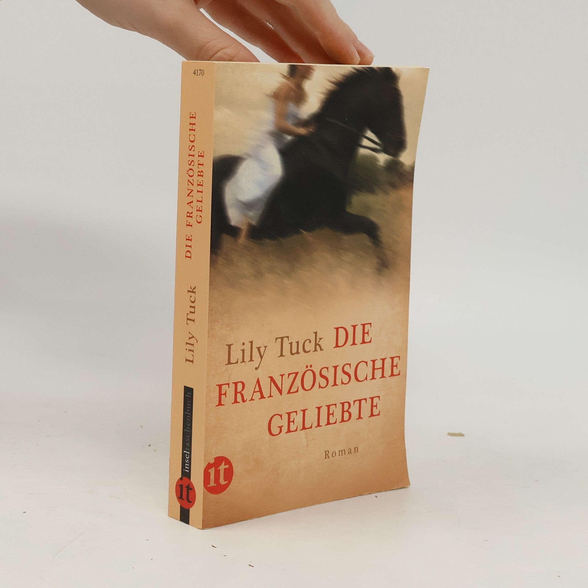 Lily Tuck Die französische Geliebte