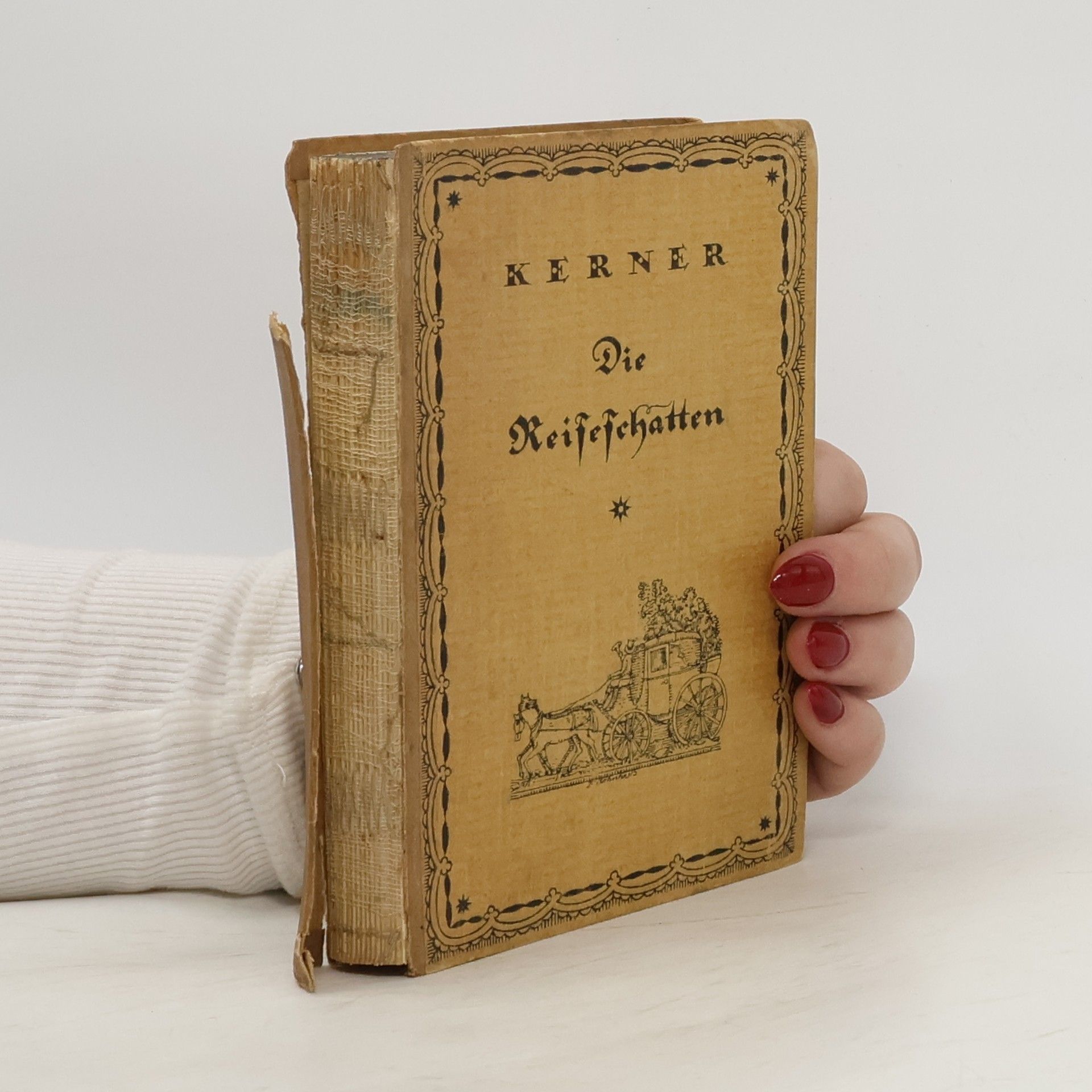 Justinus Kerner Die Reiseschatten