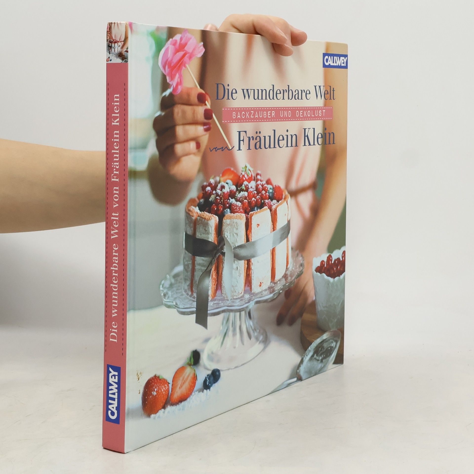 Yvonne Bauer Die wunderbare Welt von Fräulein Klein