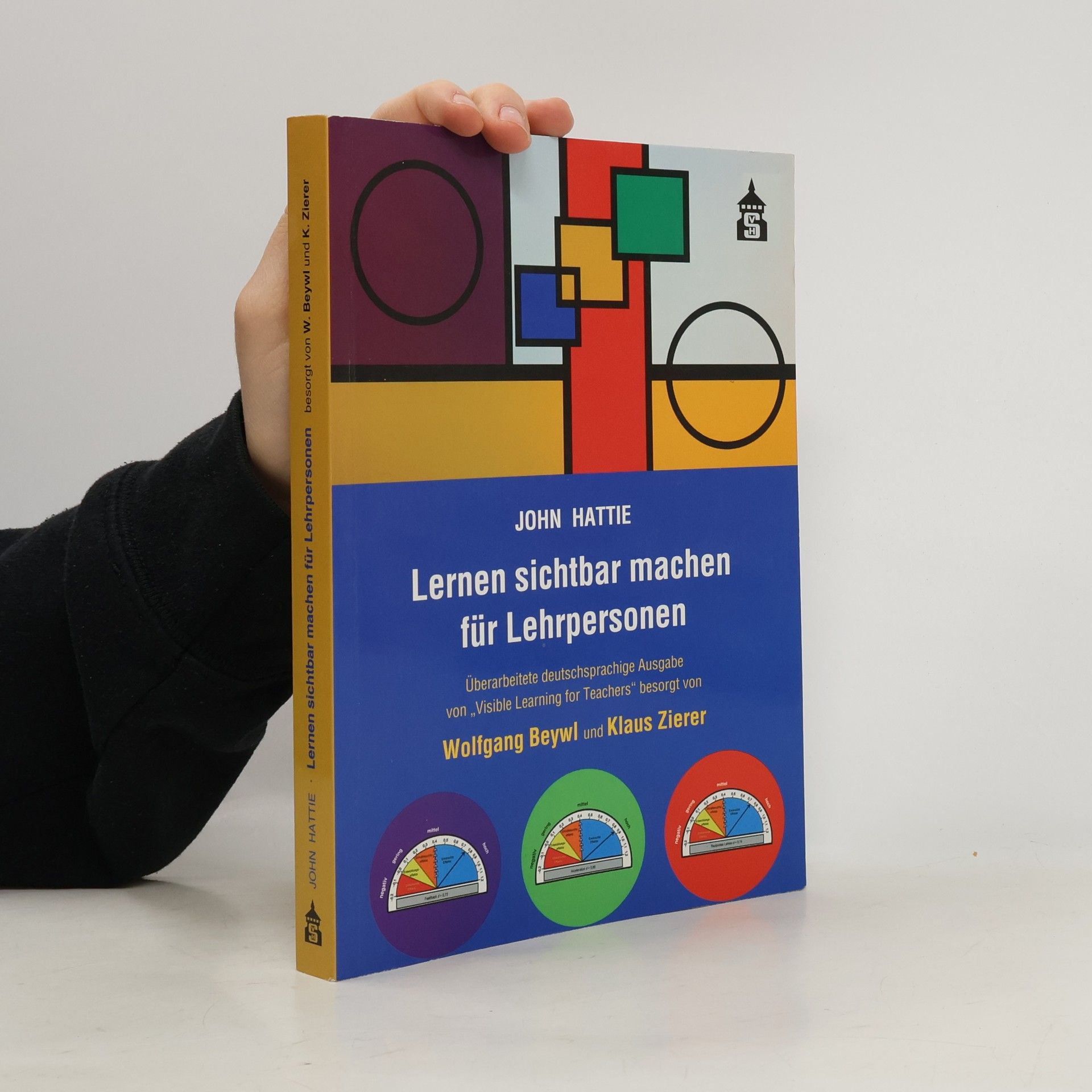 John Hattie Lernen sichtbar machen für Lehrpersonen