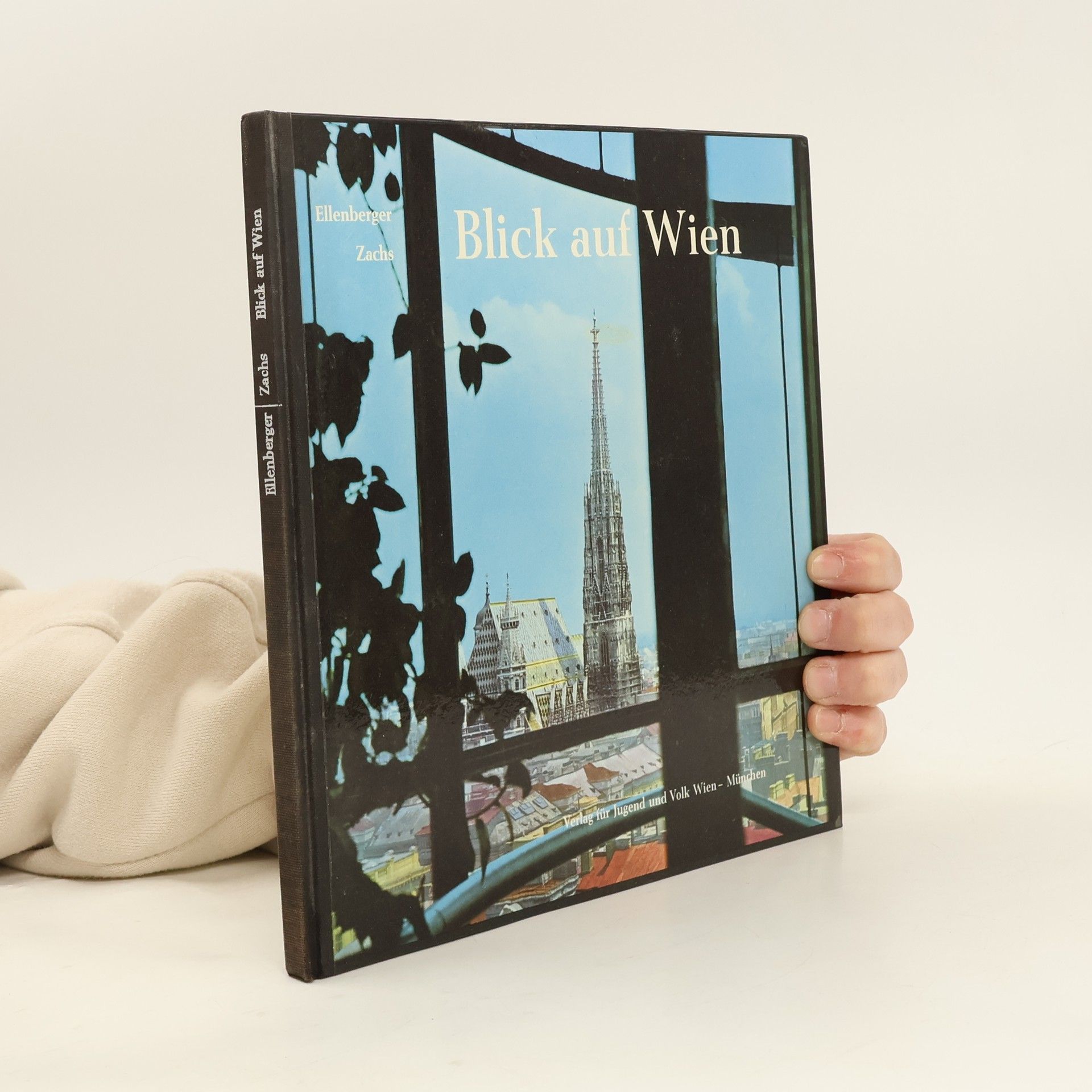 Ellenberger Zachs Blick auf Wien