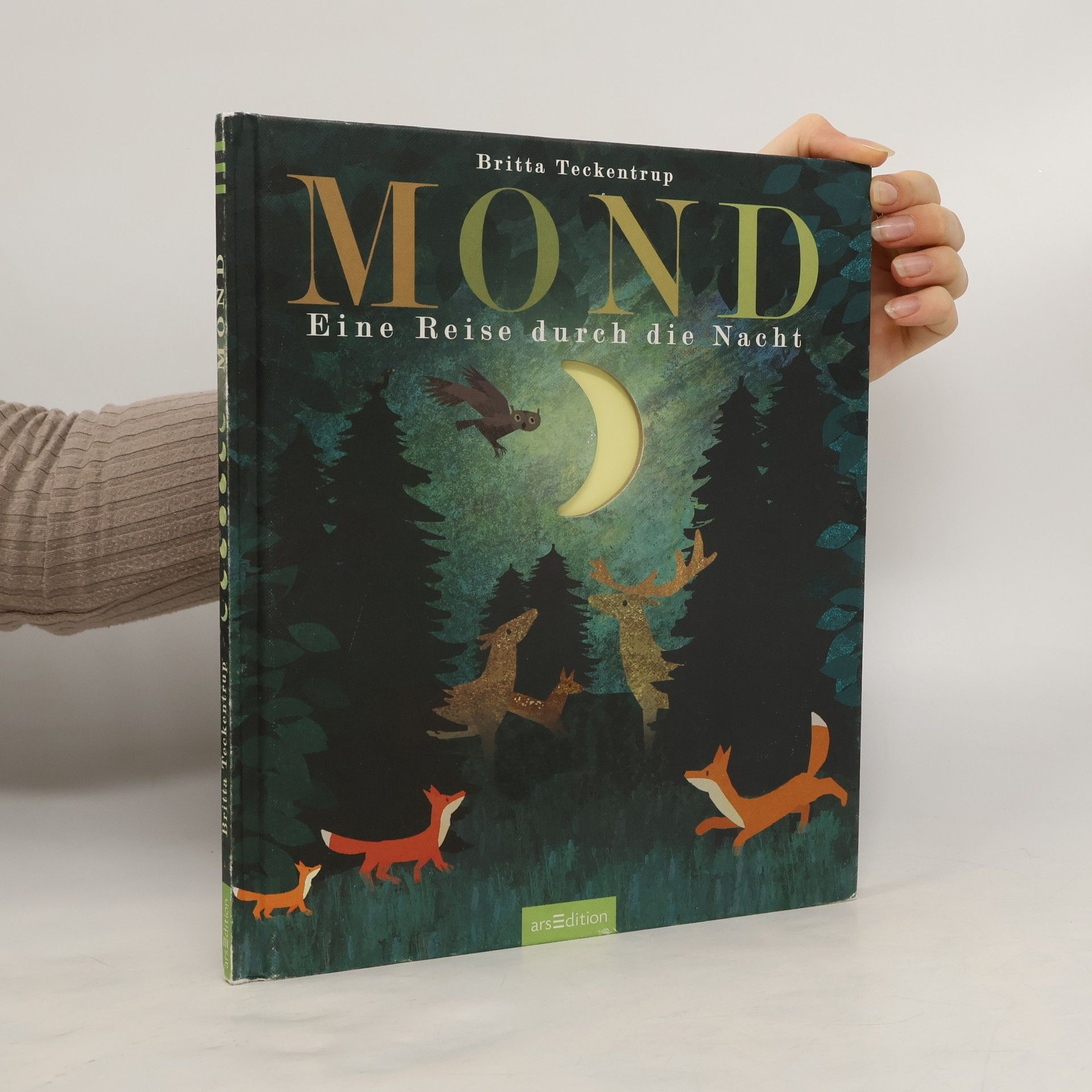 Britta Teckentrup Mond. Eine Reise durch die Nacht