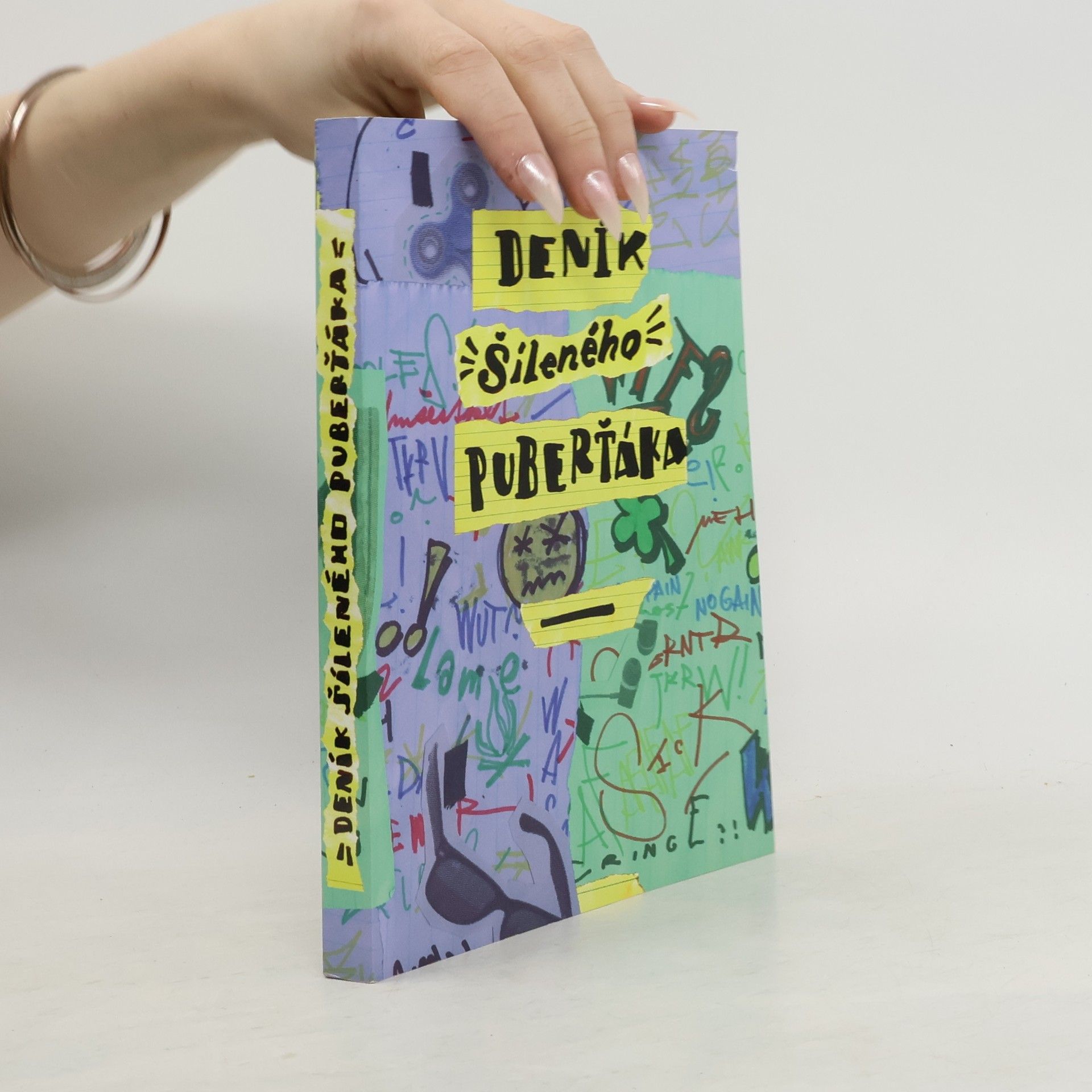 Marie Hohlová Deník šíleného puberťáka