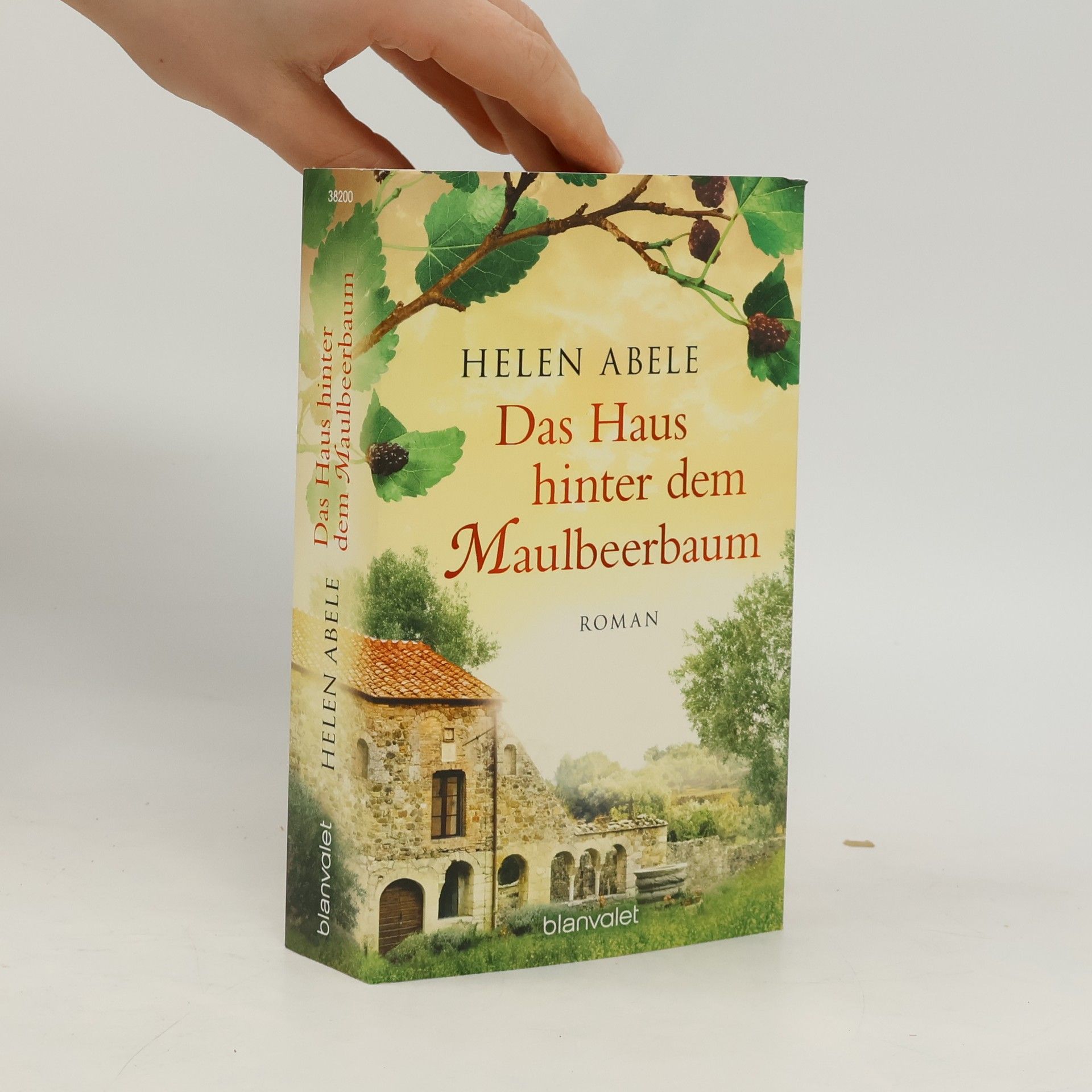 Helen Abele Das Haus hinter dem Maulbeerbaum