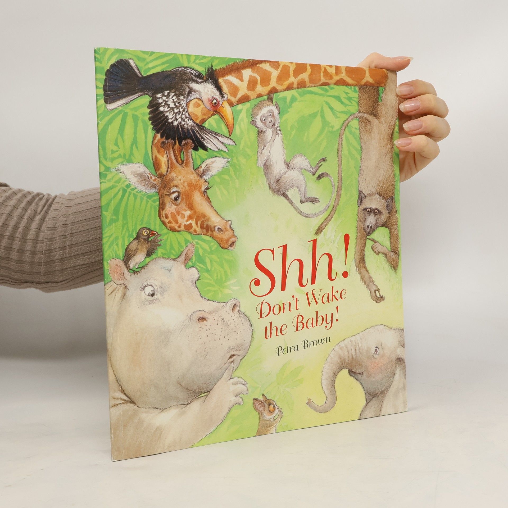 Shh! Don't Wake the Baby!