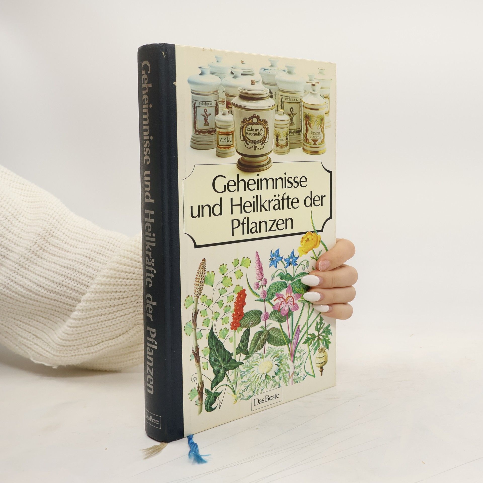 Autorenkollektiv Geheimisse und Heilkräfte der Pflanzen