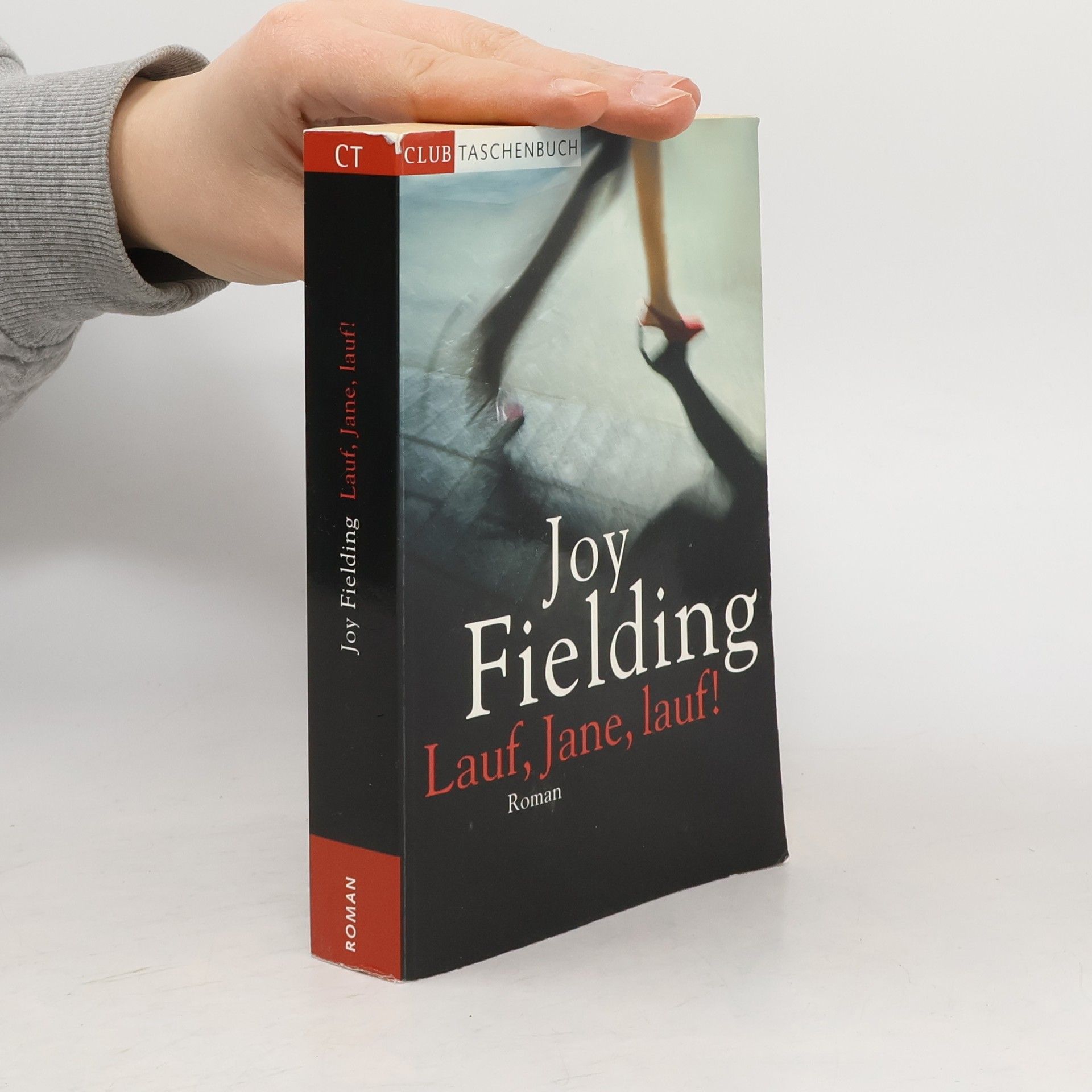 Joy Fielding Lauf, Jane, lauf!