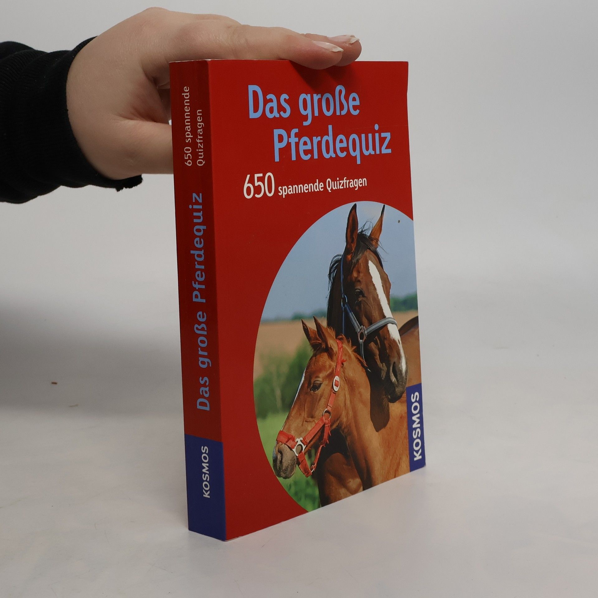 Das große Pferdequiz