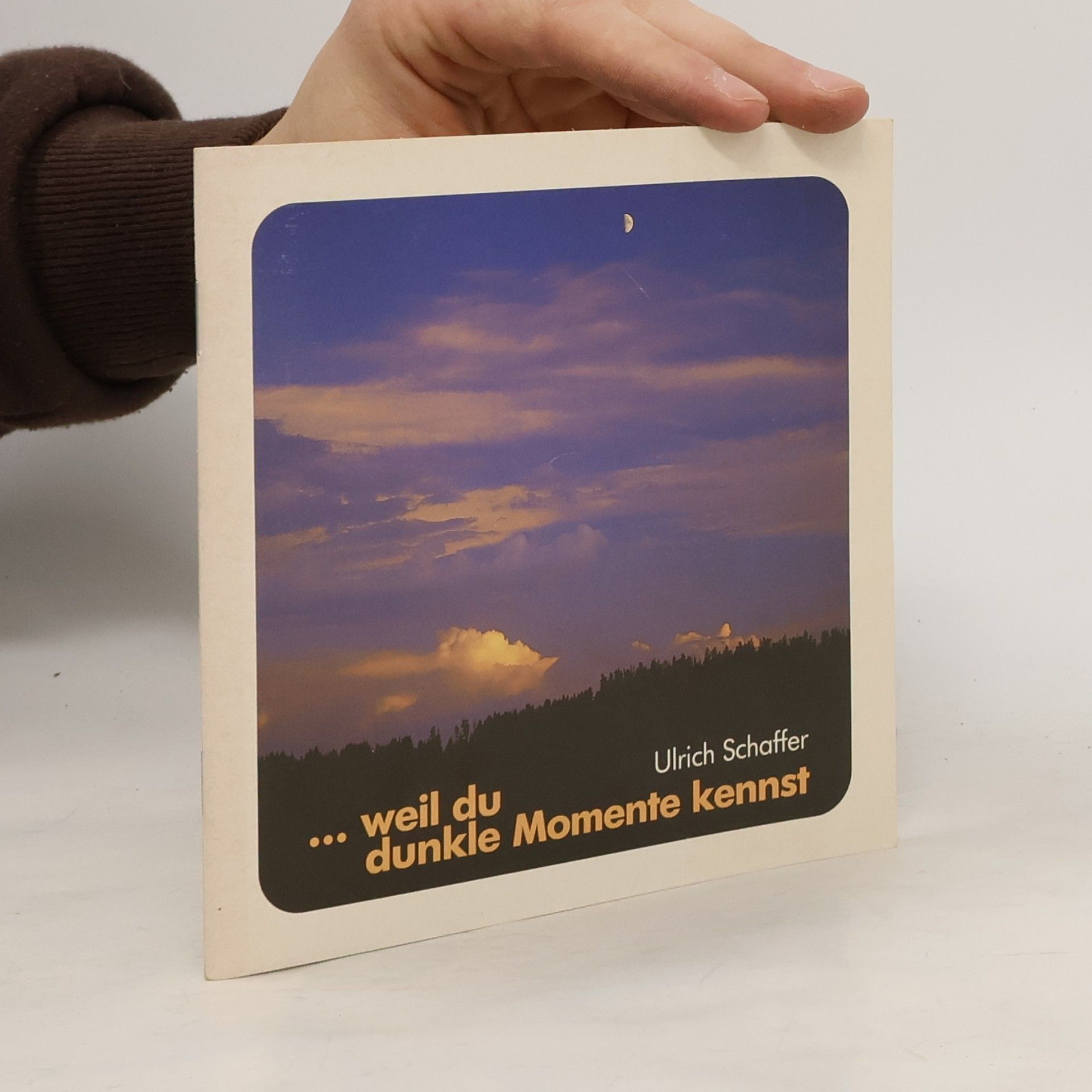 Ulrich Schaffer Weil du dunkle Momente kennst