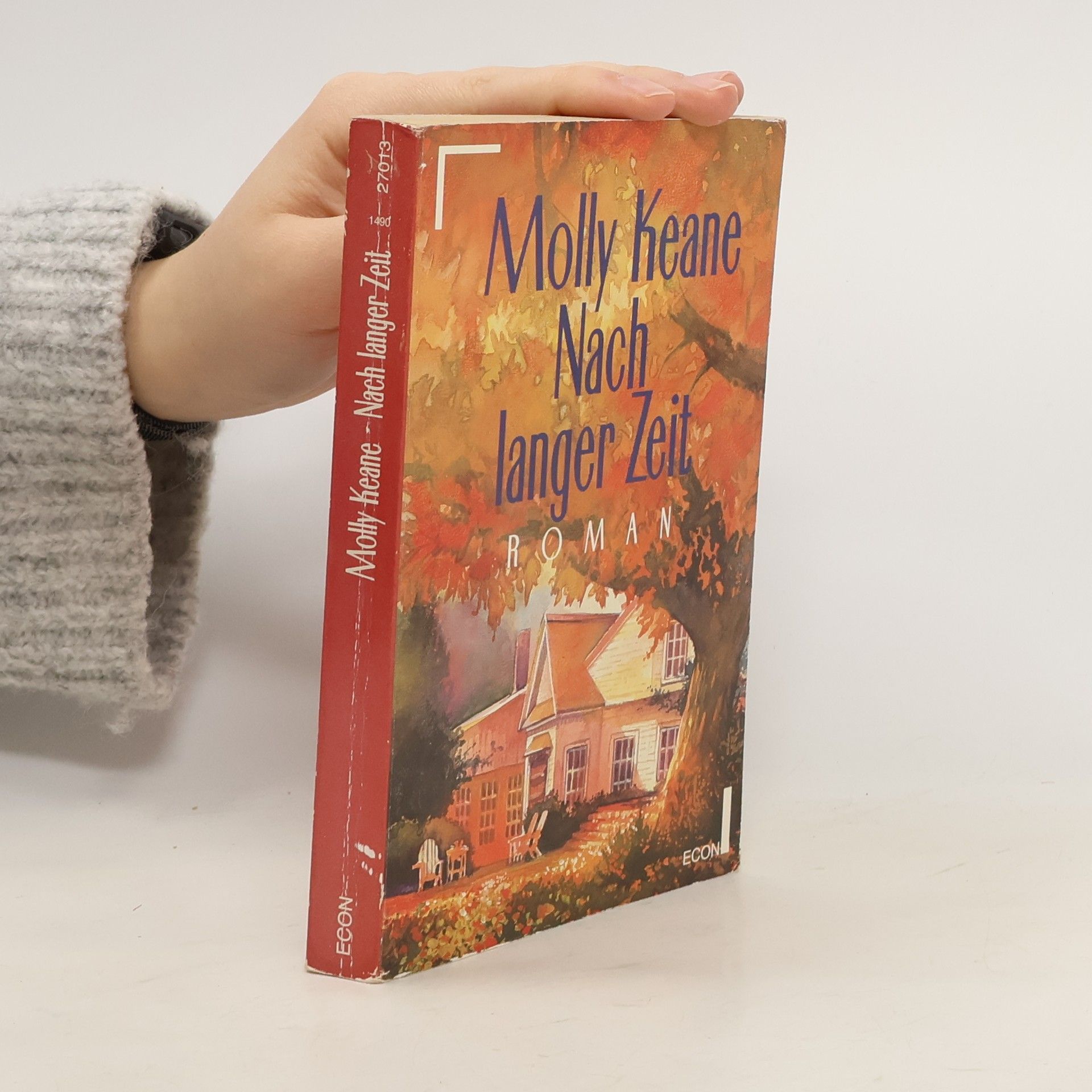 Nach langer Zeit. Roman