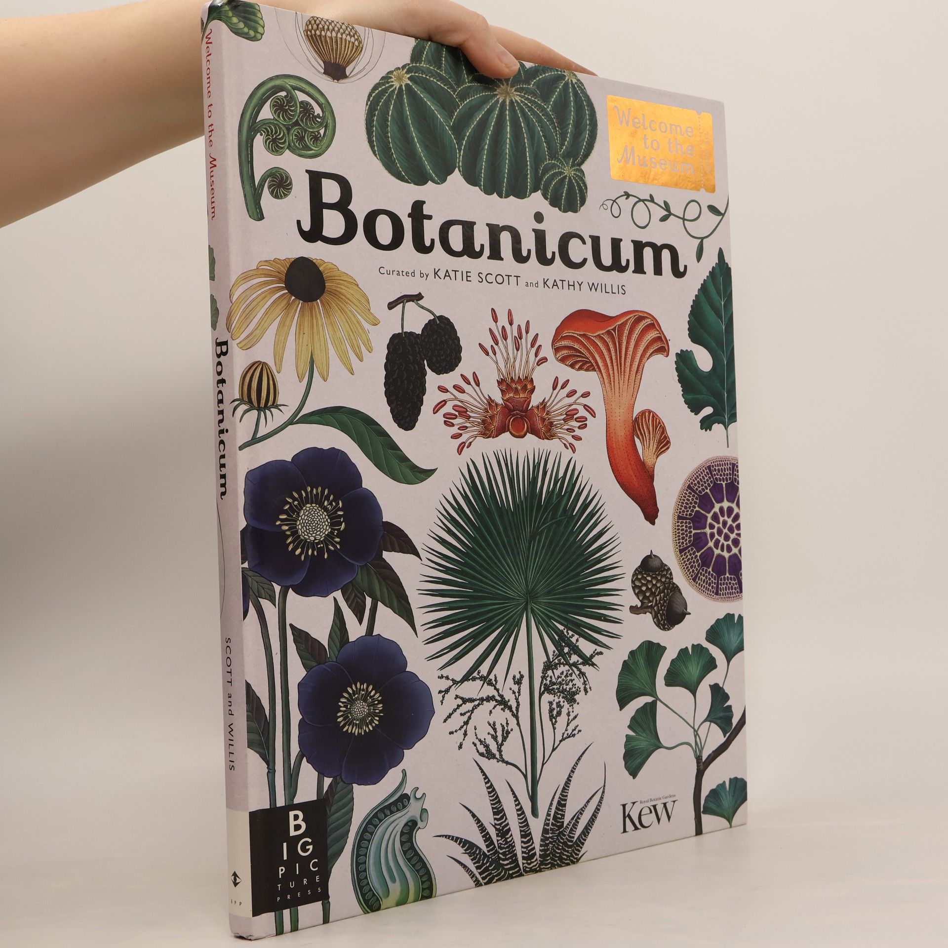 Katie Scott Botanicum