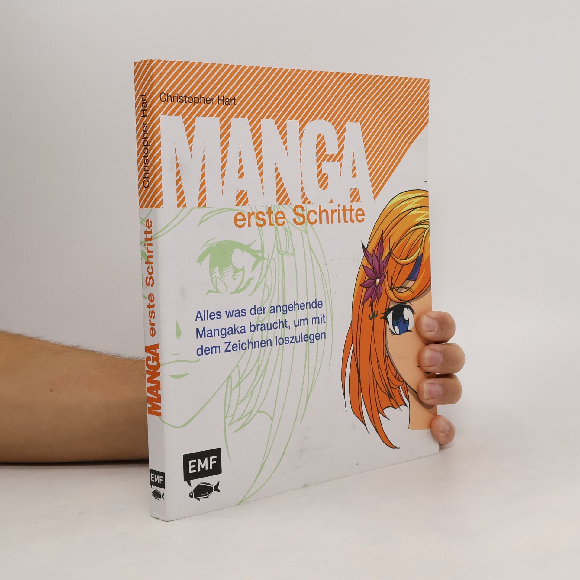 Manga : erste Schritte