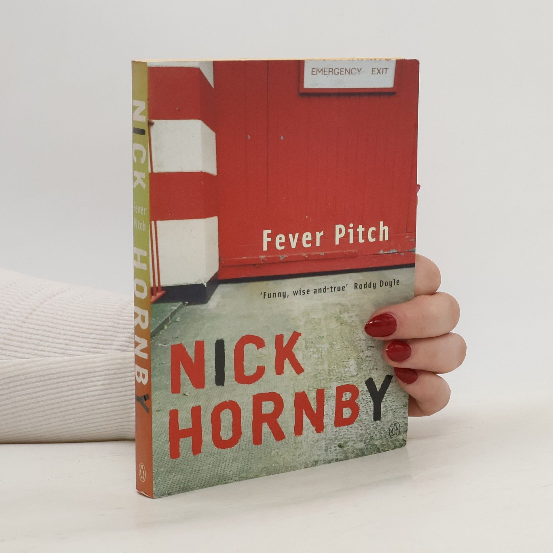 Nick Hornby Fever Pitch