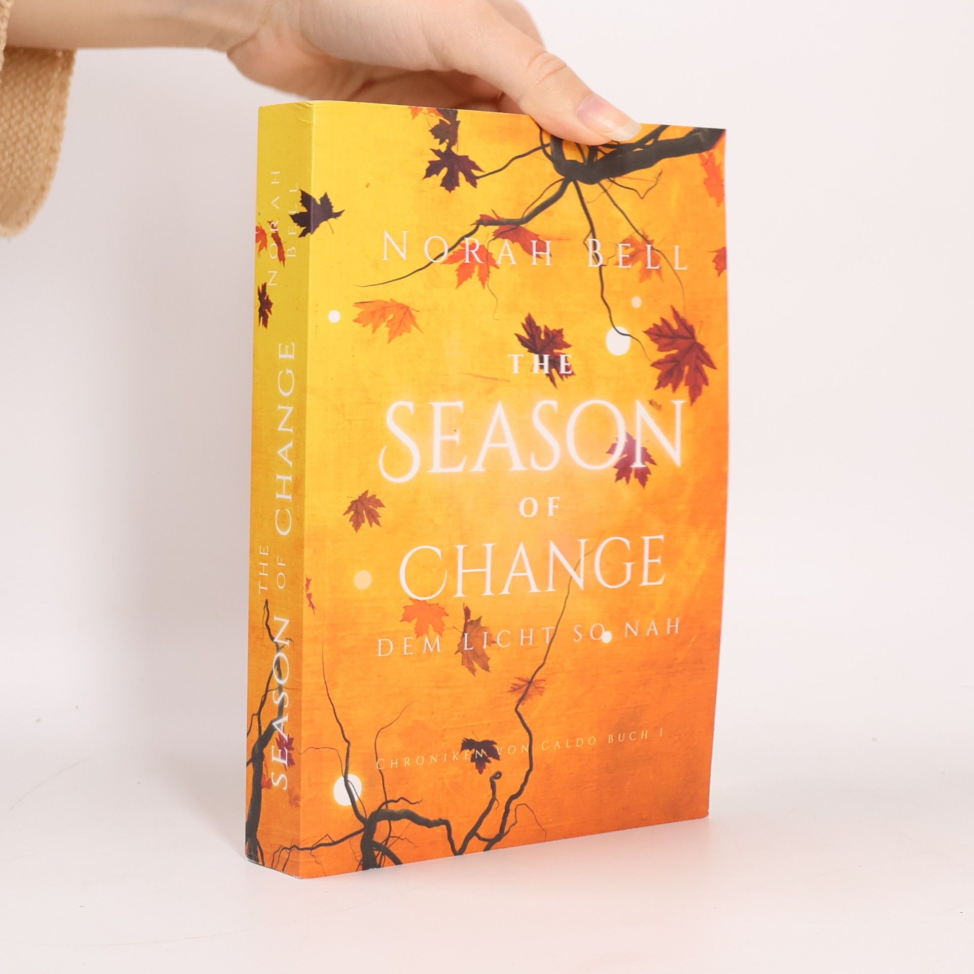 Norah Bell The Season of Change