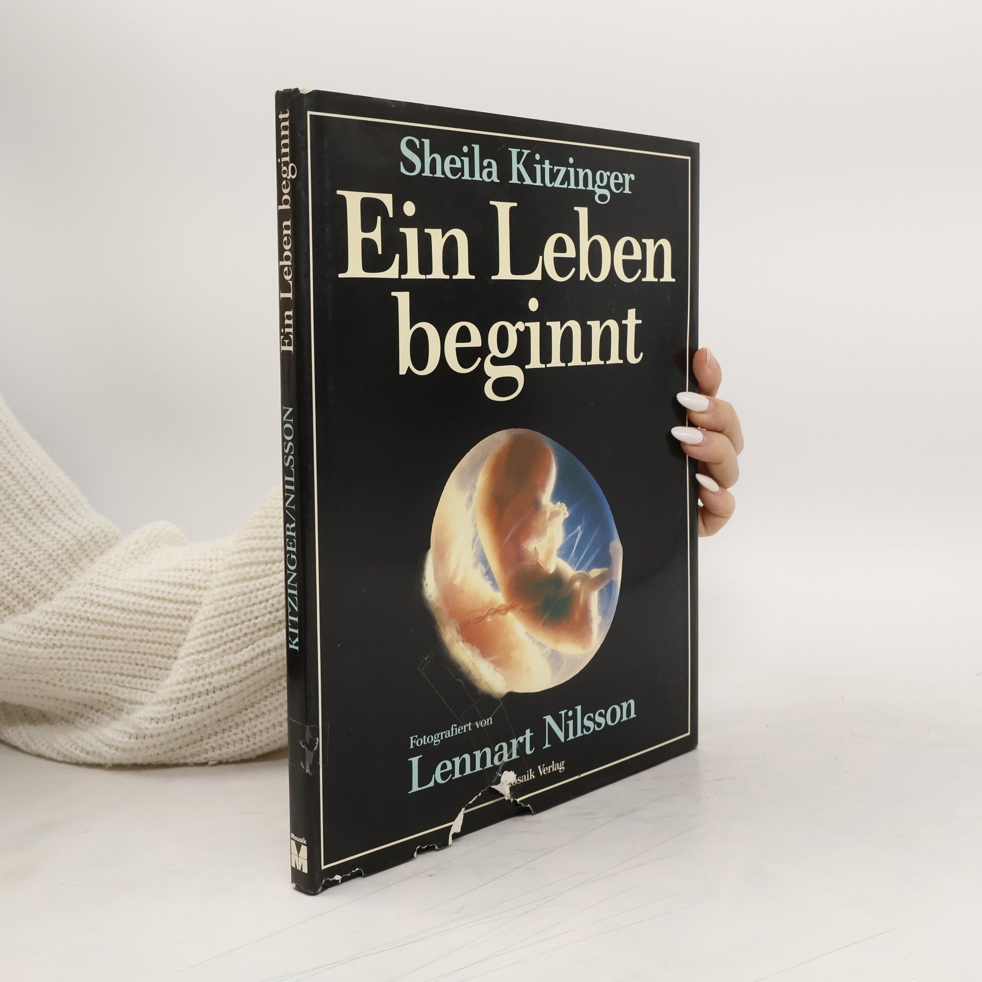 Sheila Kitzinger Ein Leben beginnt