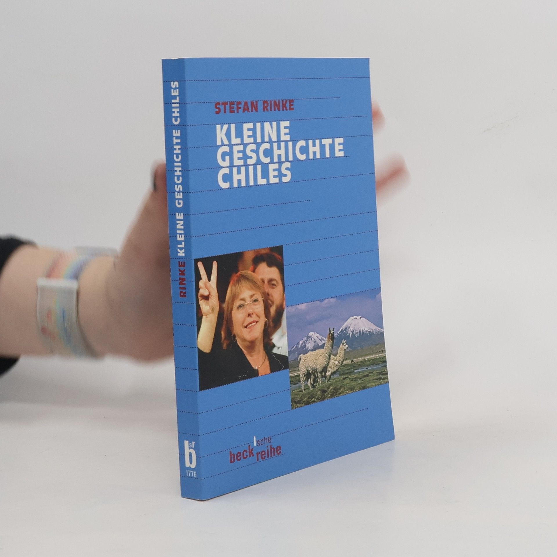 Kleine Geschichte Chiles