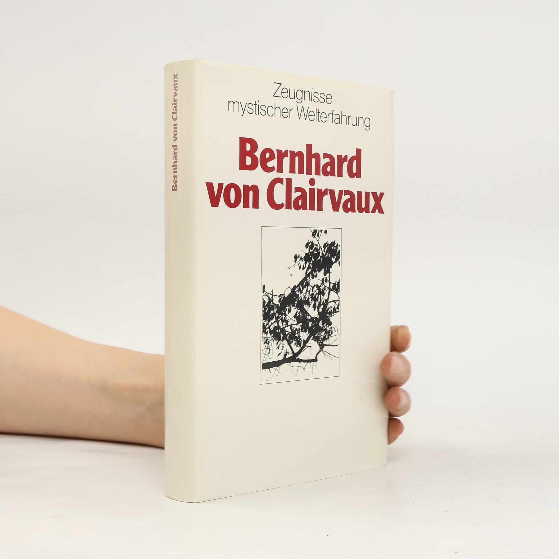 Bernhard von Clairvaux. Zeugnisse mystischer Welterfahrung