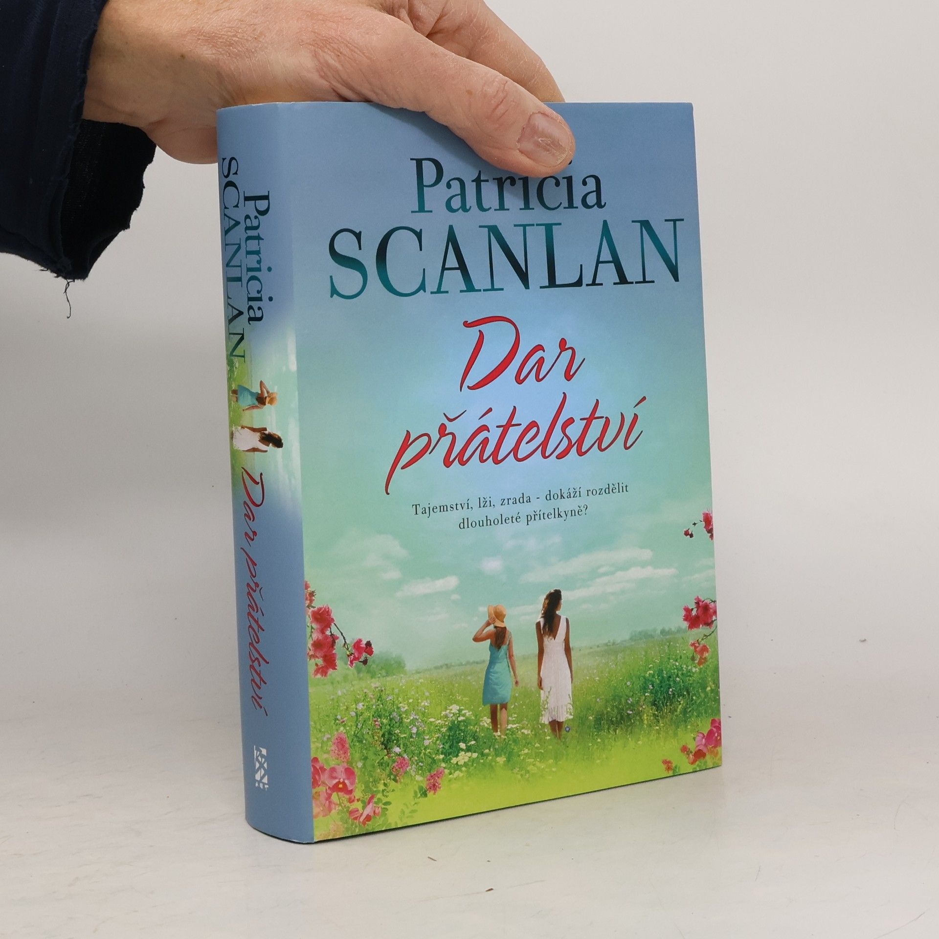 Patricia Scanlan Dar přátelství
