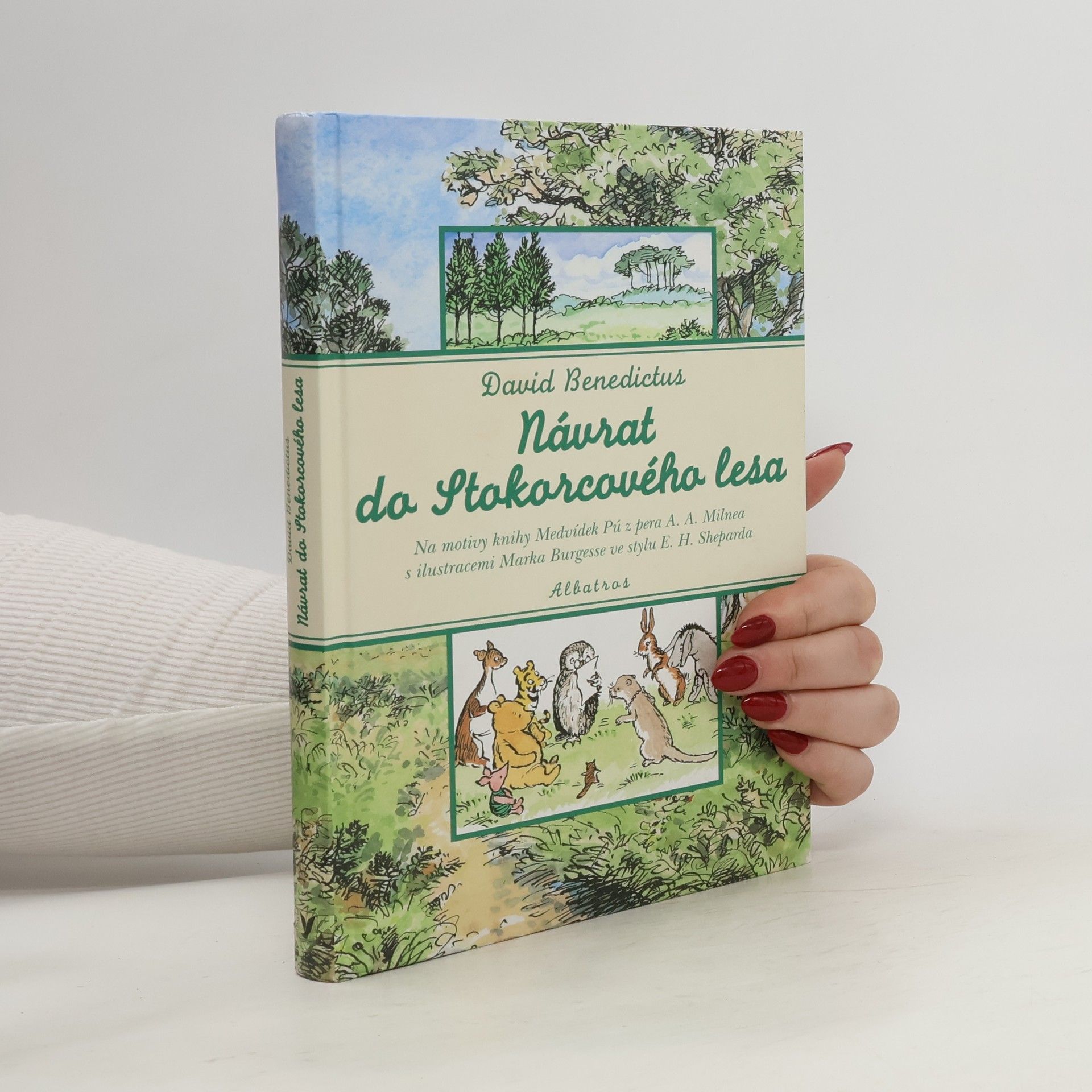 Návrat do Stokorcového lesa, ve kterém Medvídek Pú prožívá další dobrodružství s Kryštůfkem Robinem