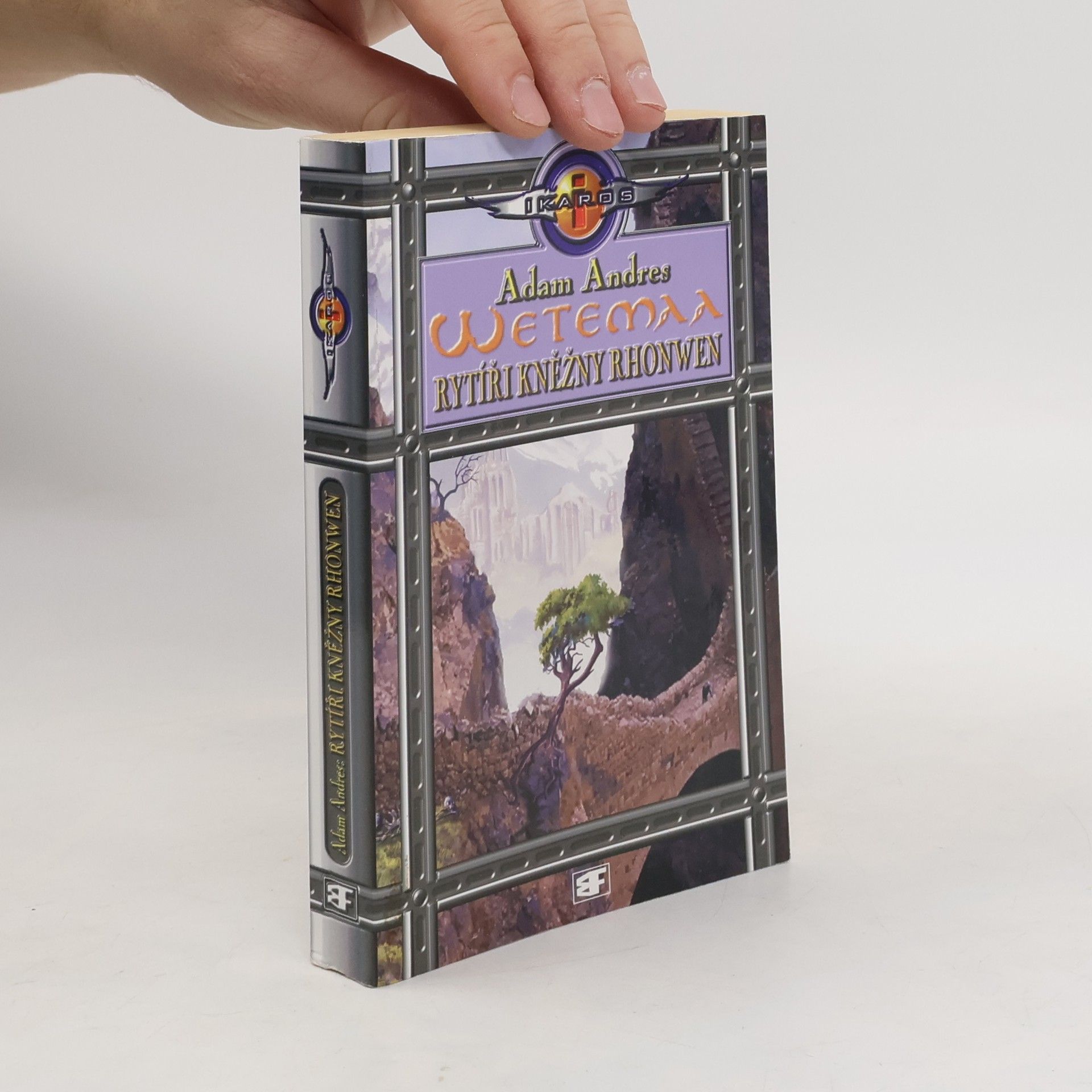 Veronika Válková Rytíři kněžny Rhonwen