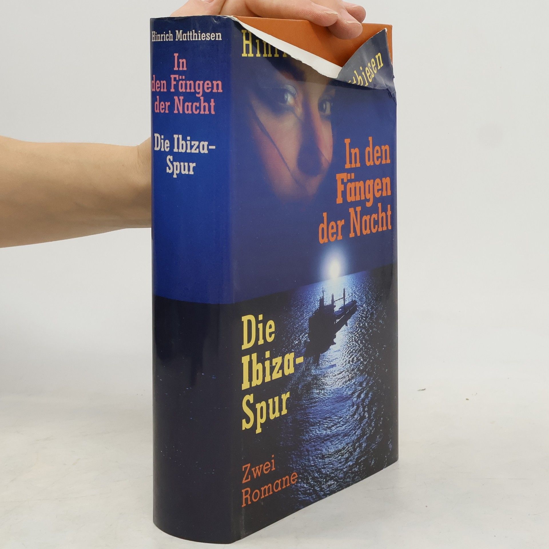 Hinrich Matthiesen In den Fängen der Nacht. Die Ibiza-spur