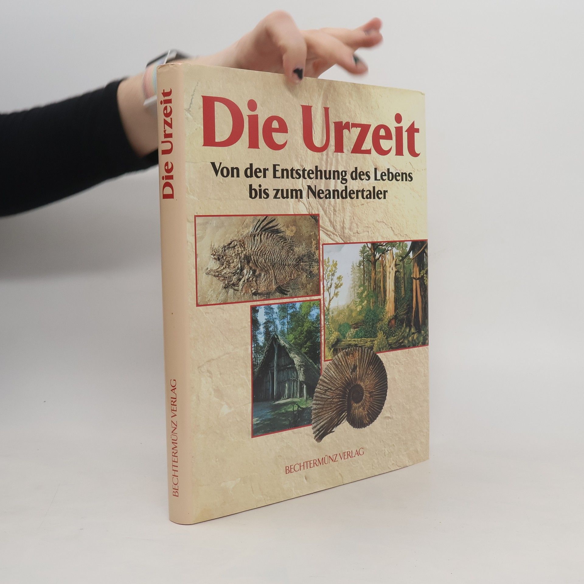 Auteurscollectief Die Urzeit