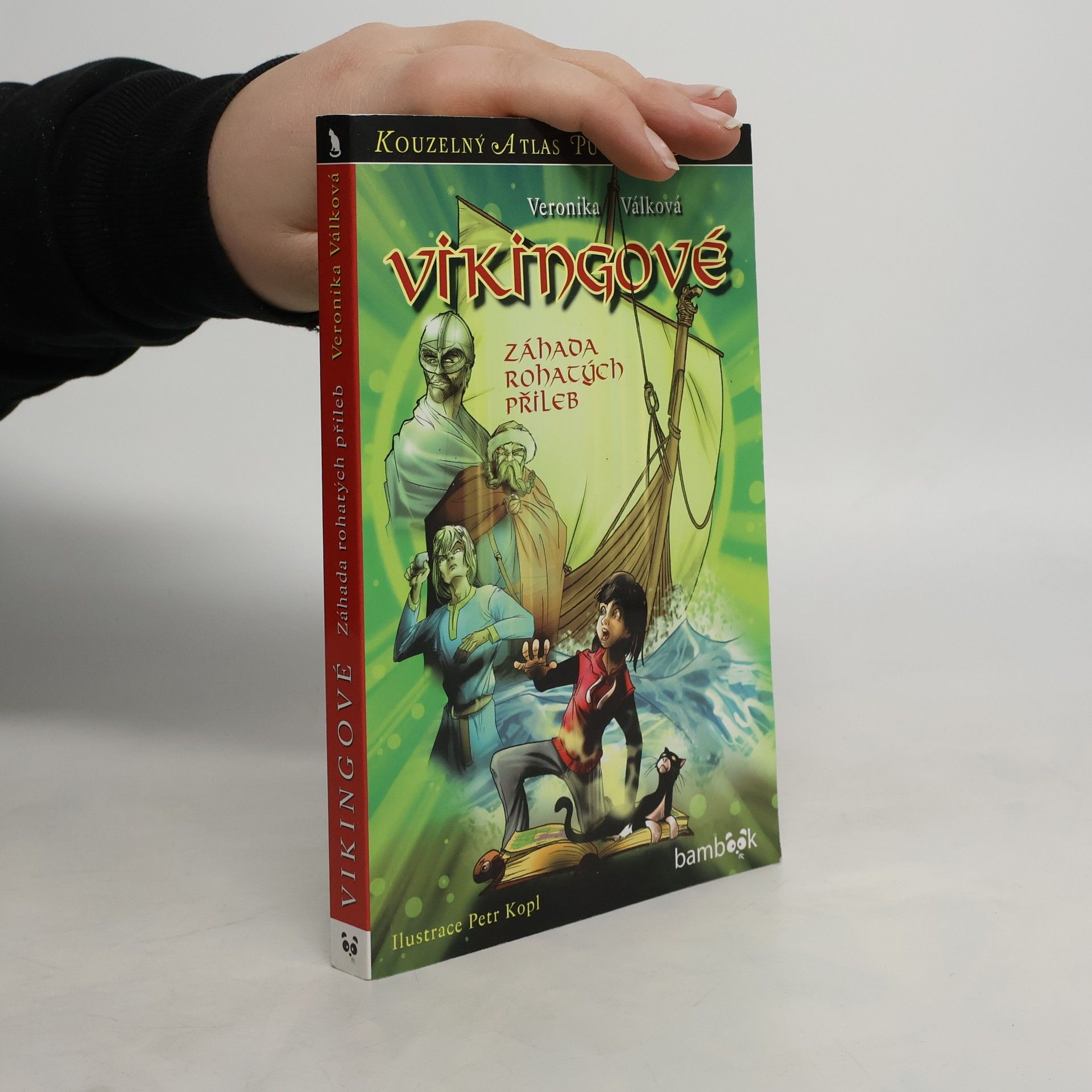 Veronika Válková Vikingové : záhada rohatých přileb