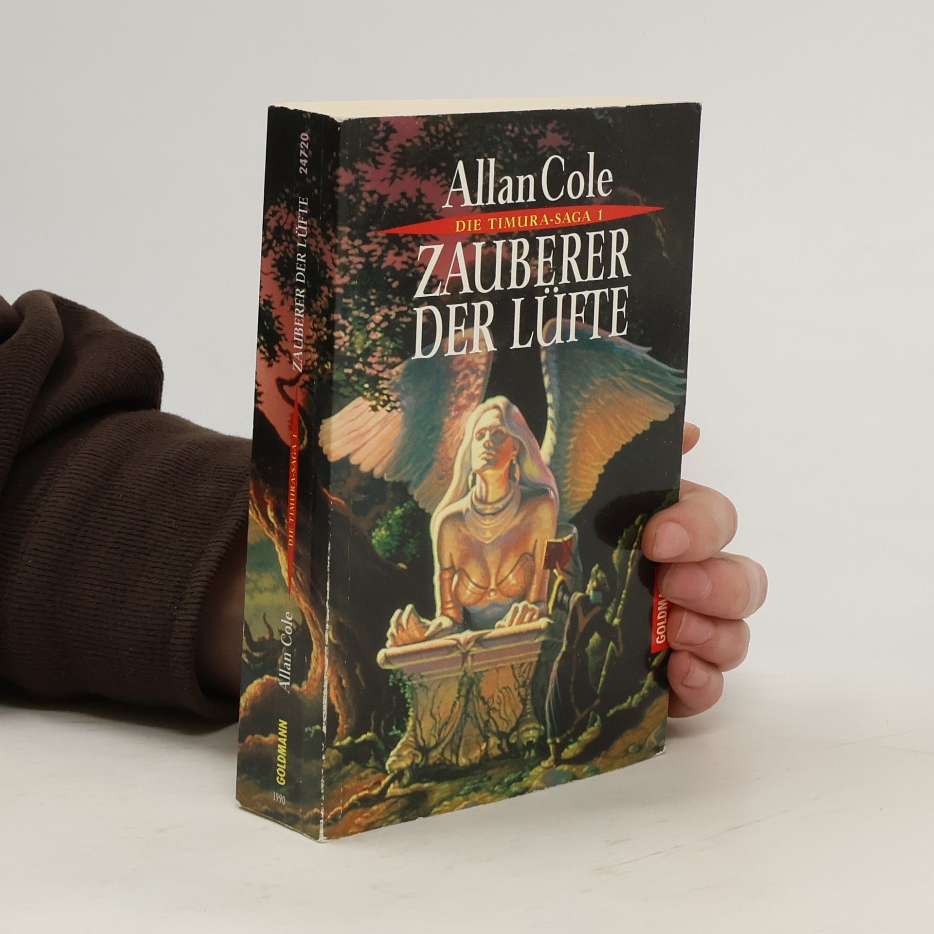 Zauberer der Lüfte. Roman