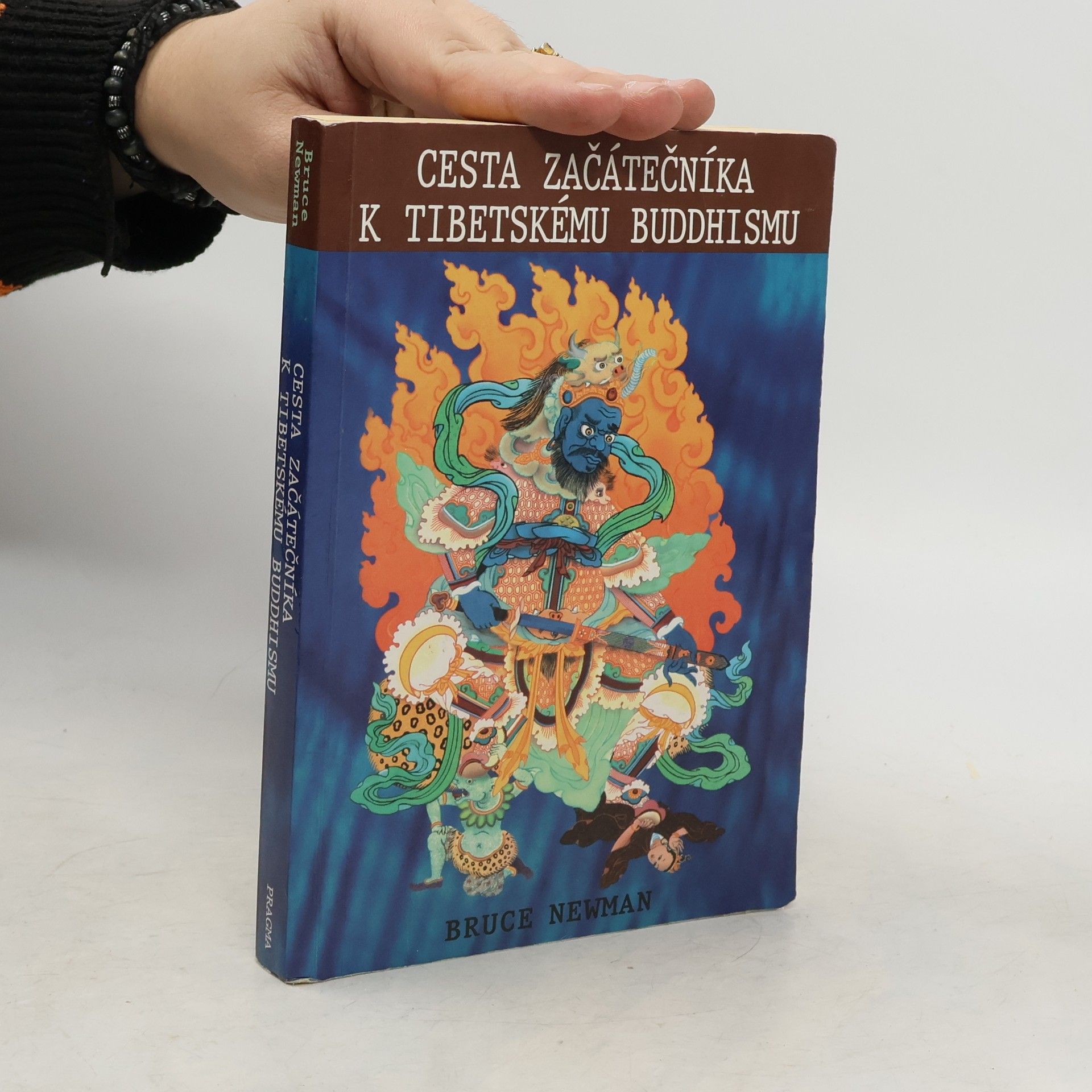 Josef Pecinovský Cesta začátečníka k tibetskému buddhismu. Zápisky z duchovní cesty