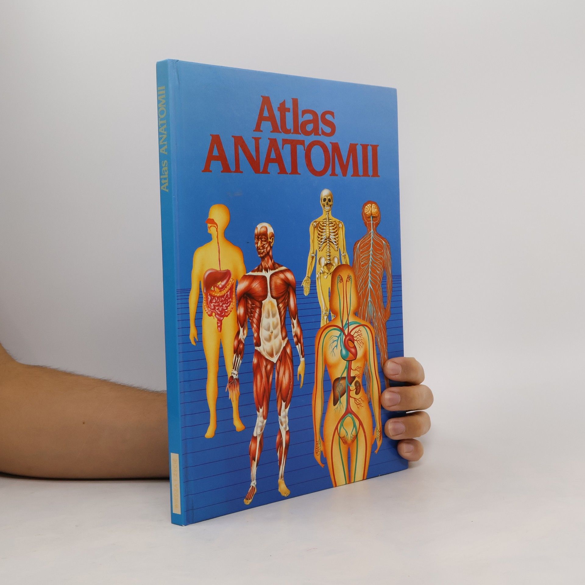 Various authors Atlas anatomii