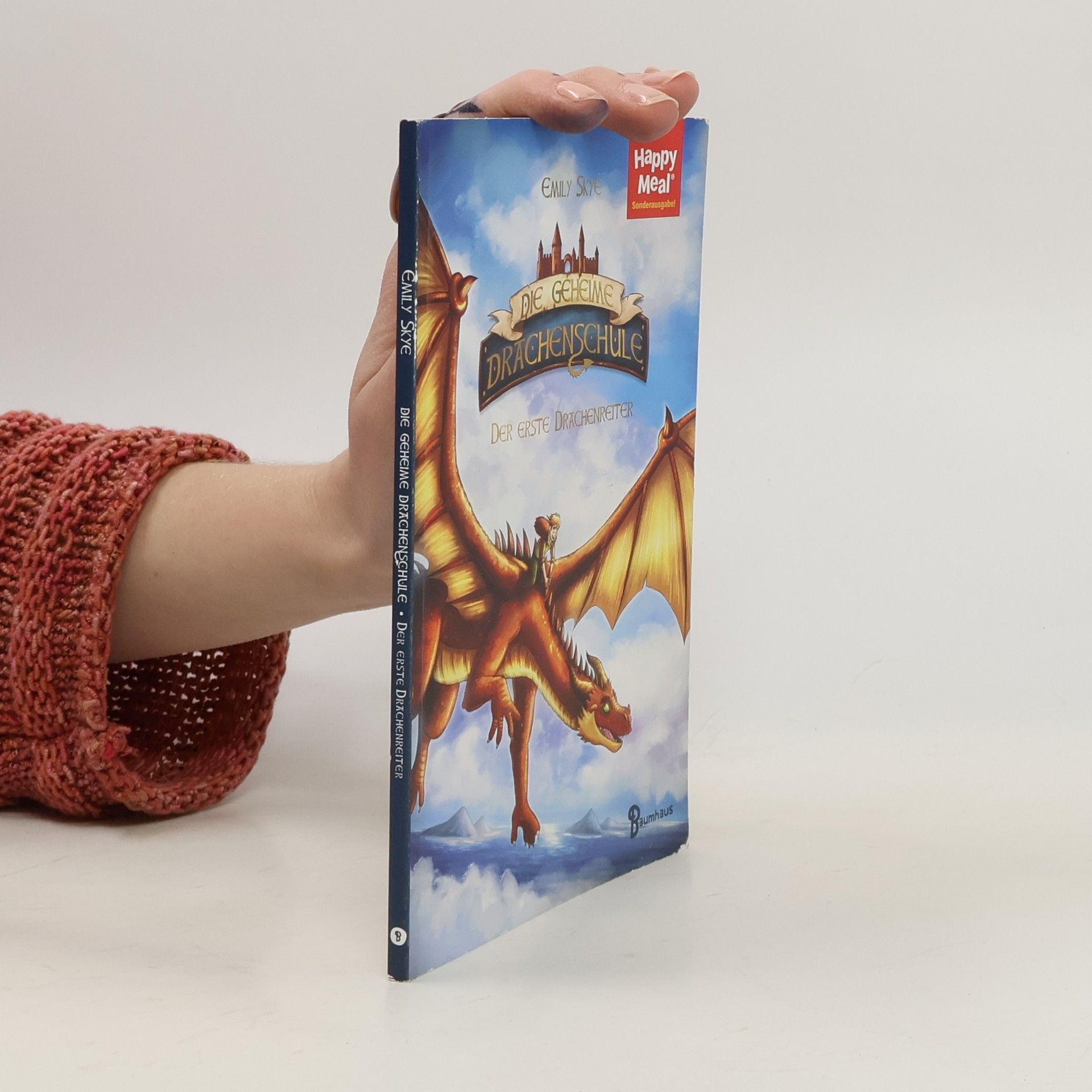 Die geheime Drachenschule