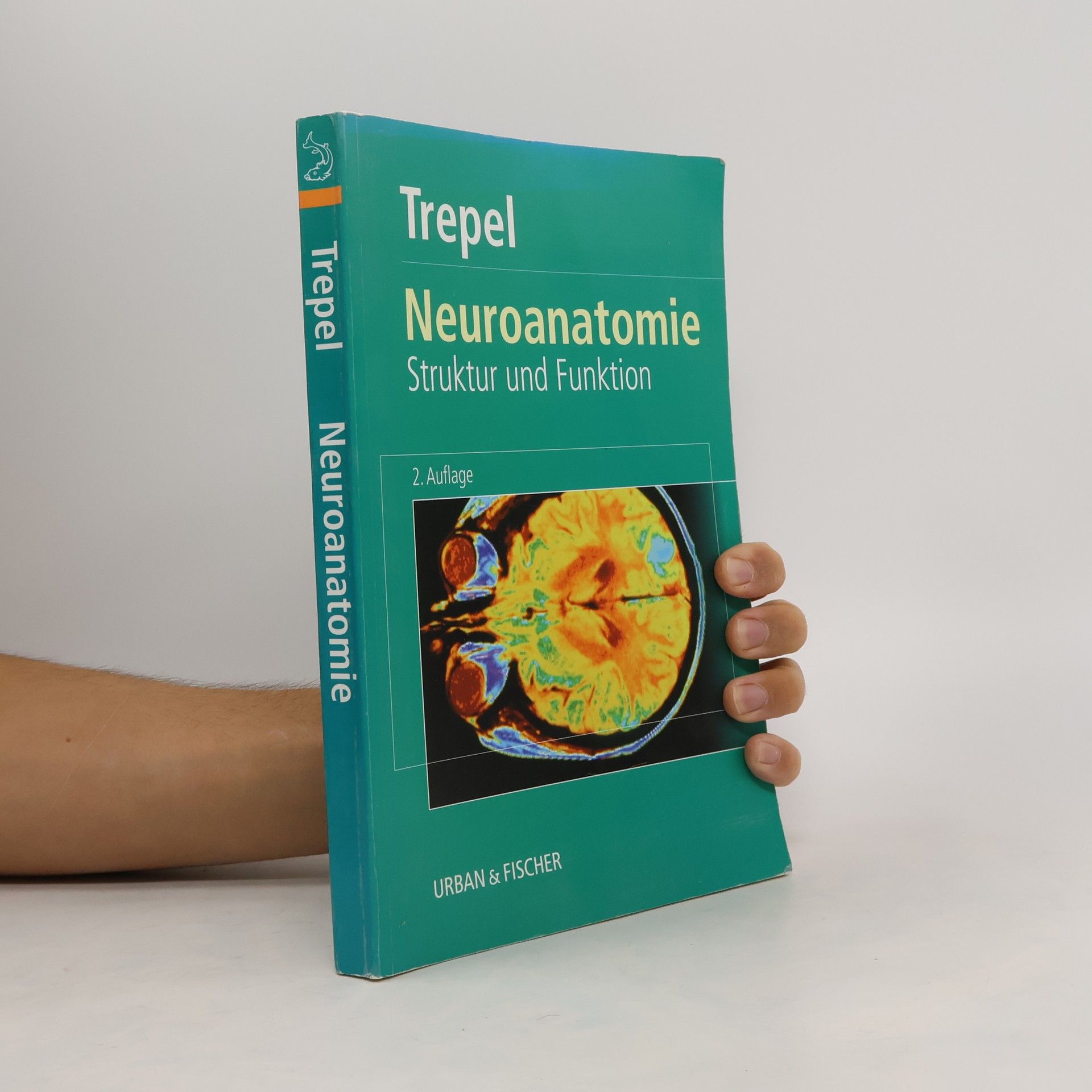 Neuroanatomie