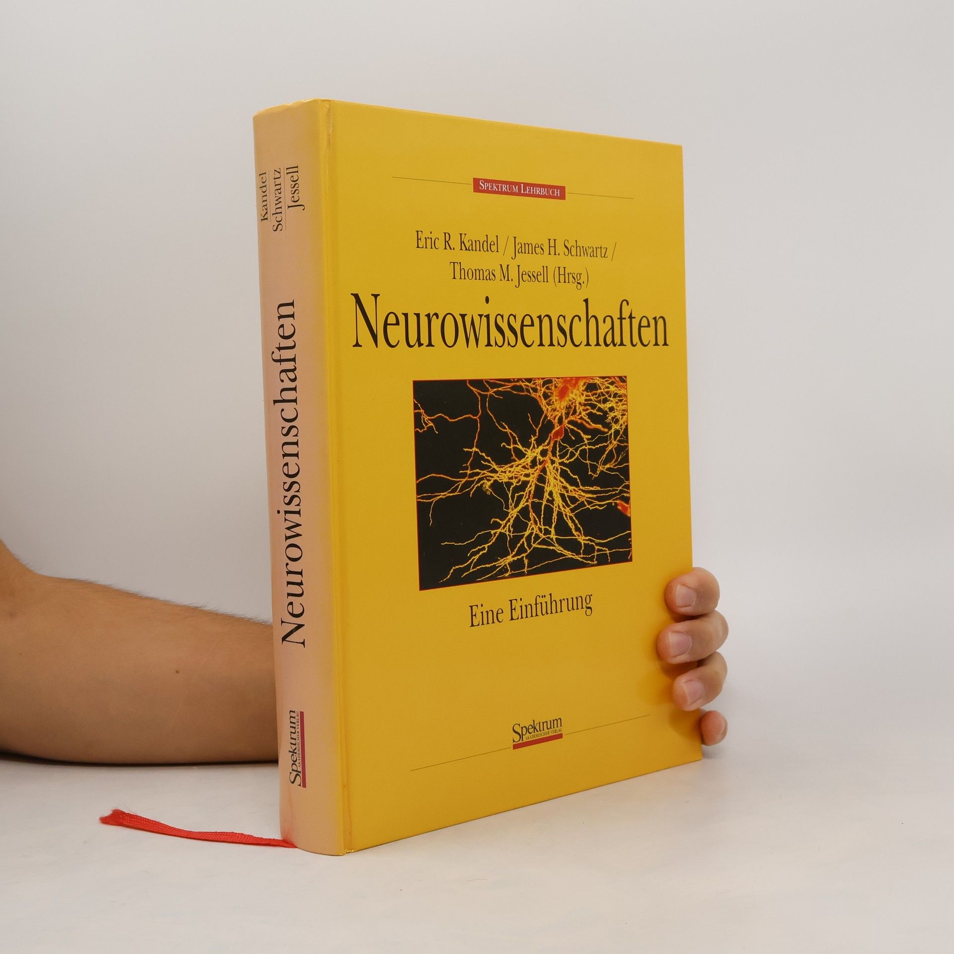 Eric Kandel Neurowissenschaften