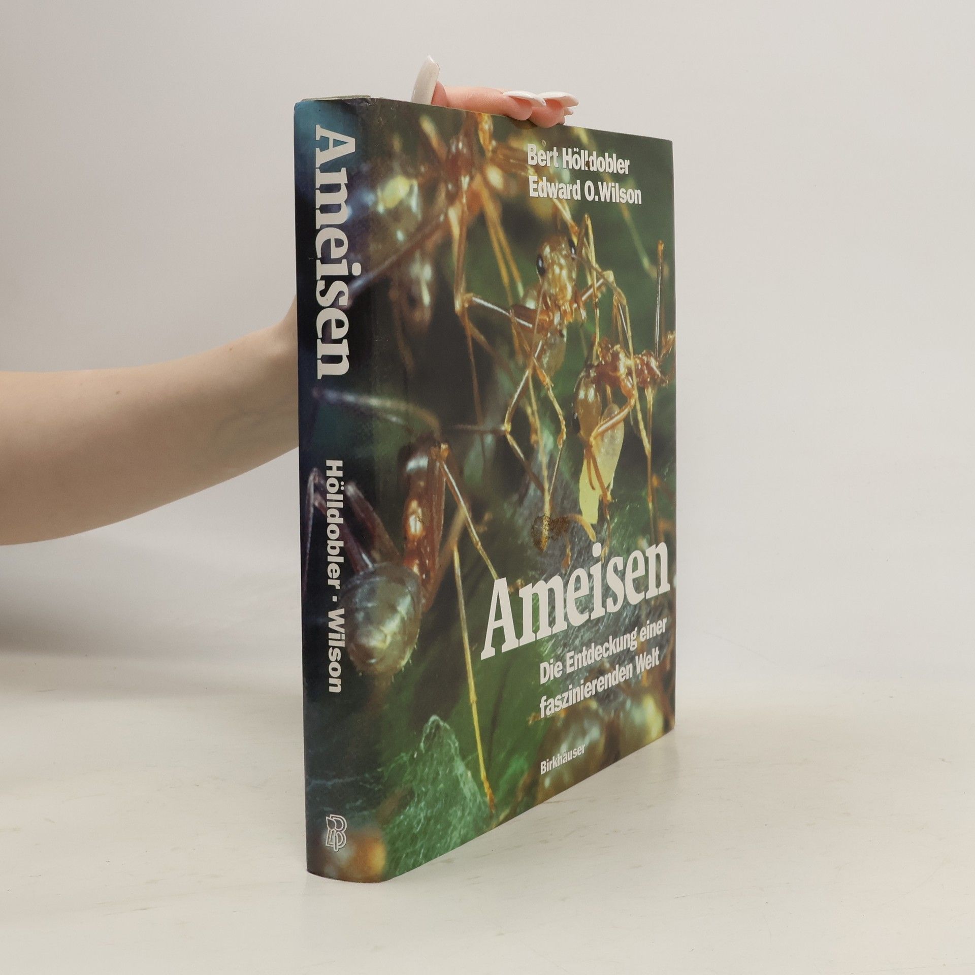 Edward Osborne Wilson Ameisen