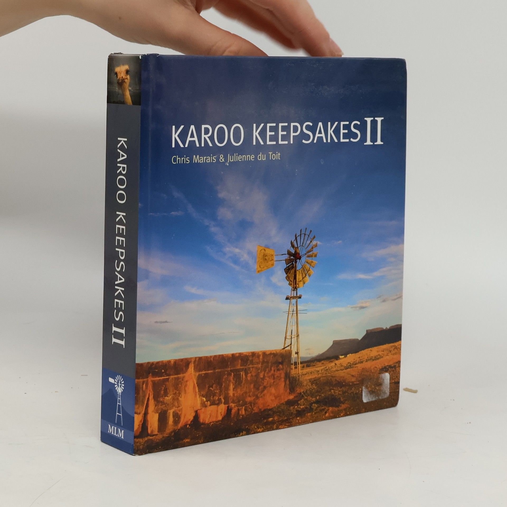 Christine Marais Karoo Keepsakes II