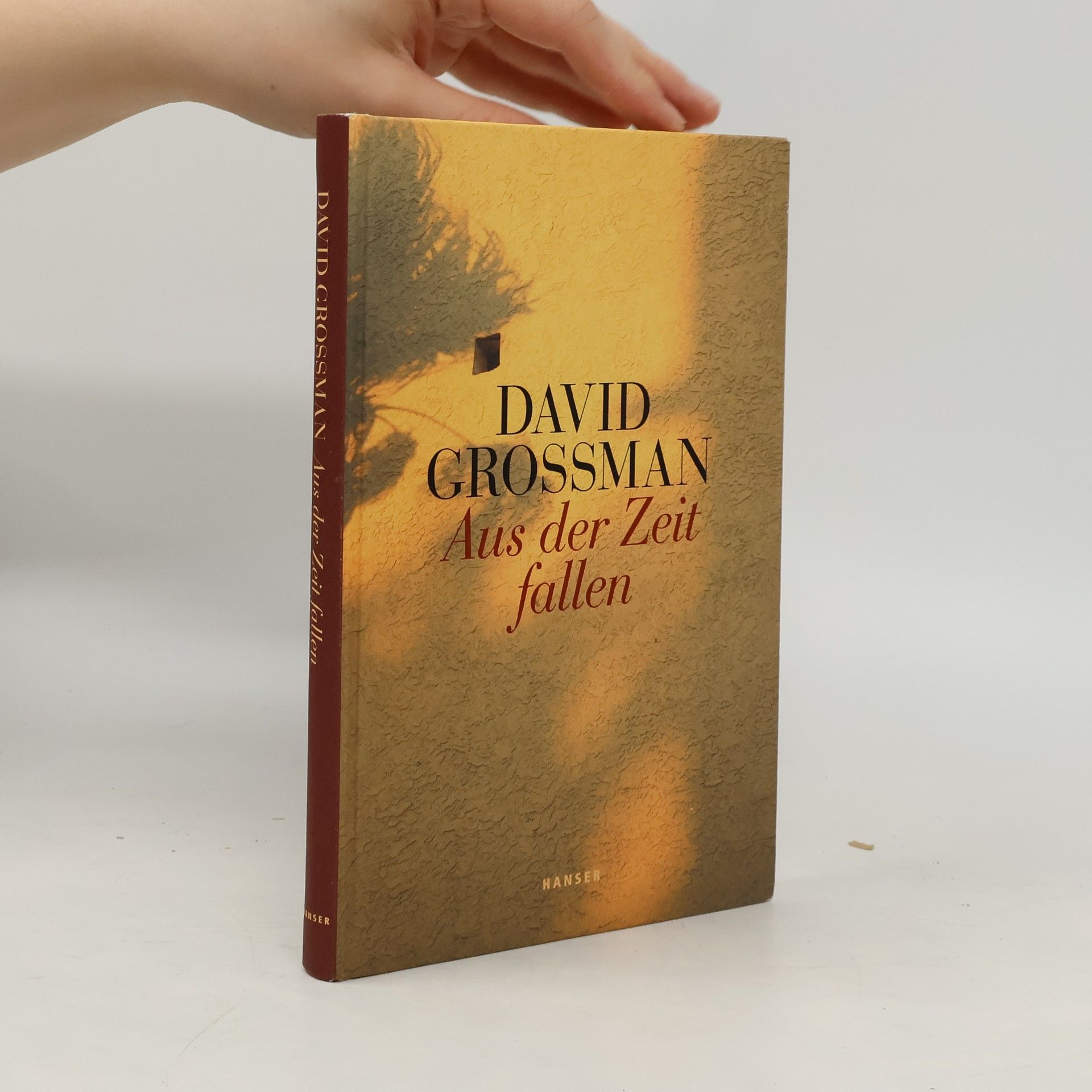 David Grossman Aus der Zeit fallen