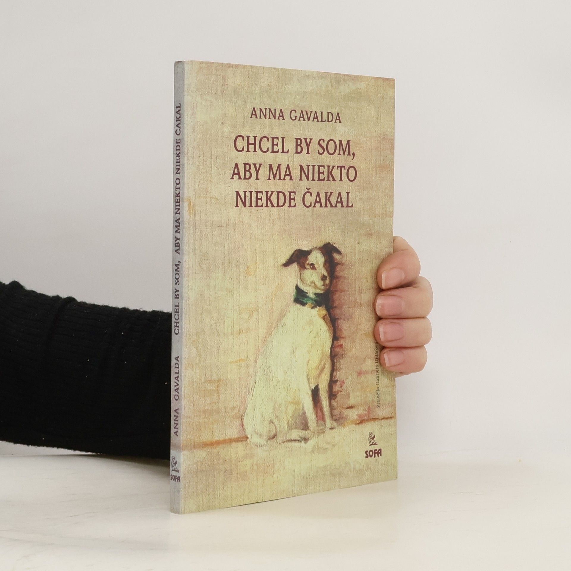 Anna Gavalda Chcel by som, aby na mňa niekto niekde čakal