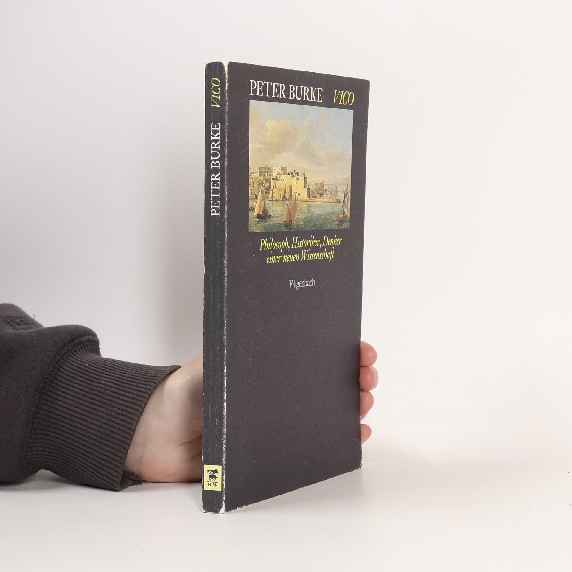 Peter Burke Vico